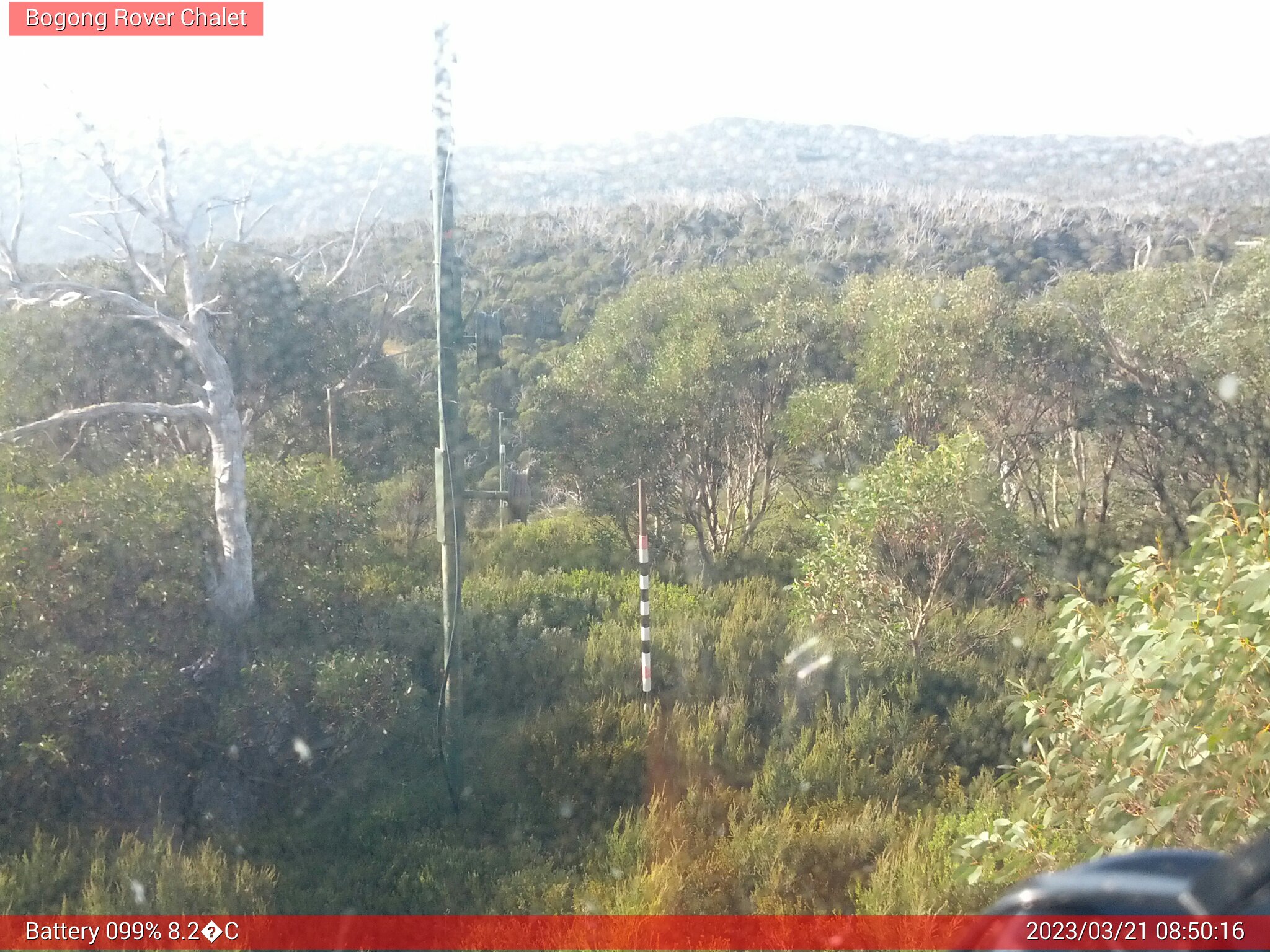 Bogong Web Cam 8:50am Tuesday 21st of March 2023