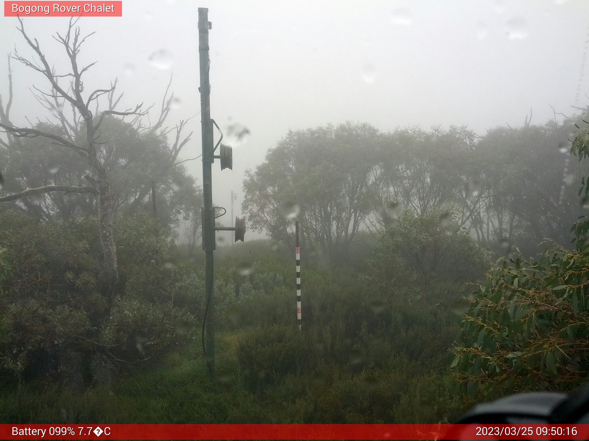 Bogong Web Cam 9:50am Saturday 25th of March 2023