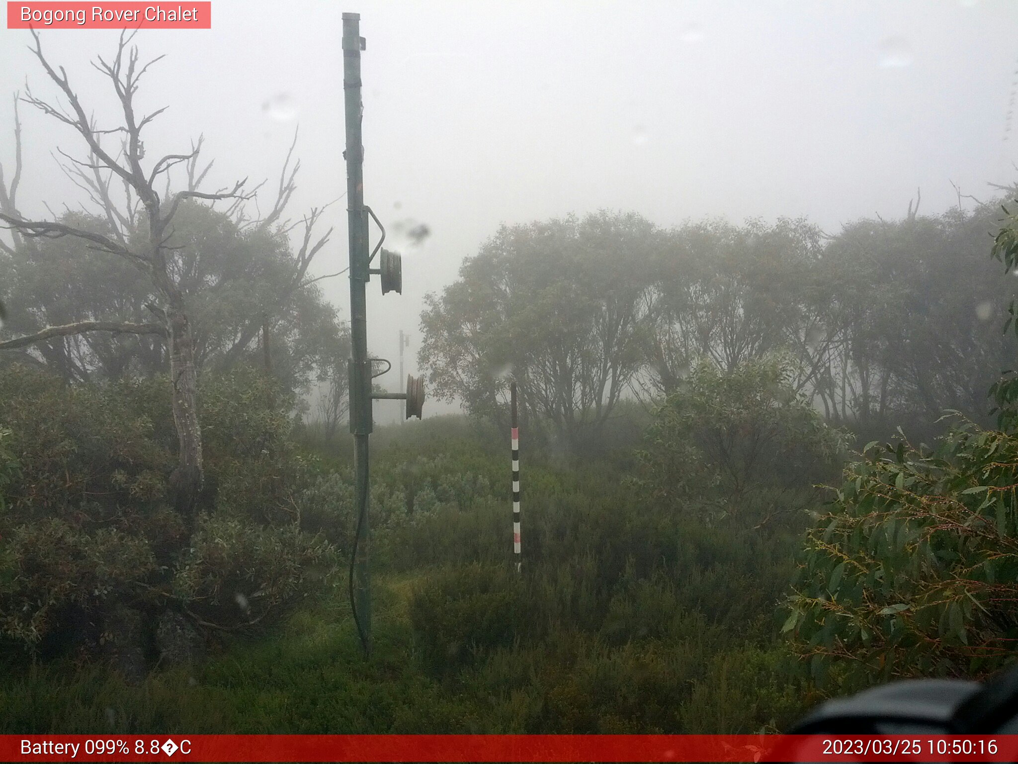 Bogong Web Cam 10:50am Saturday 25th of March 2023