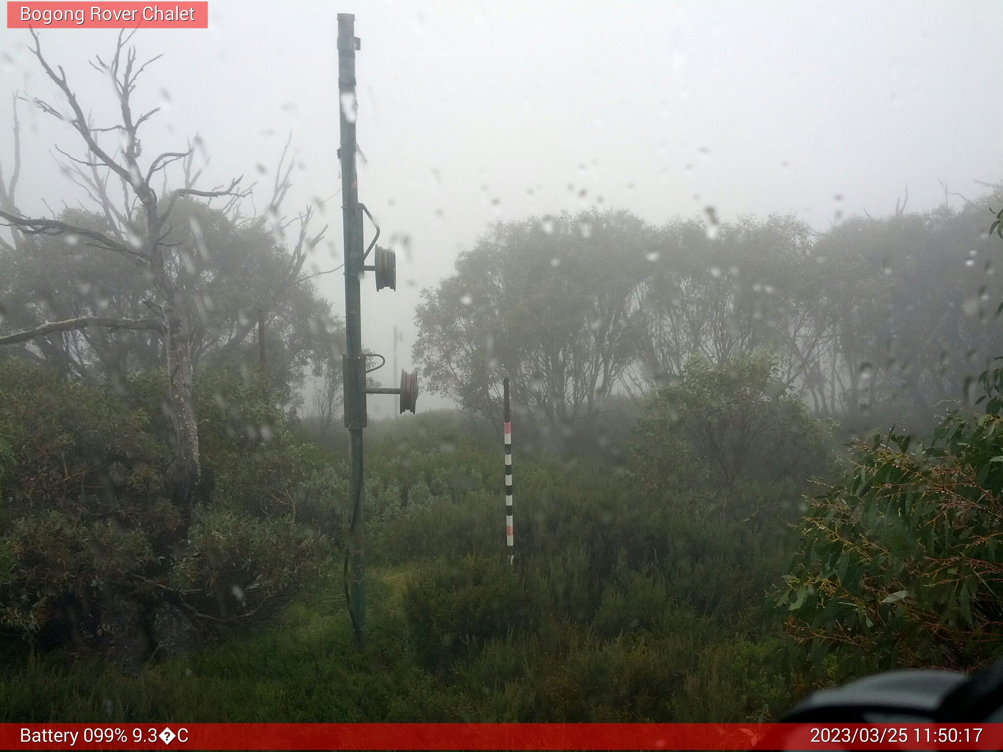 Bogong Web Cam 11:50am Saturday 25th of March 2023