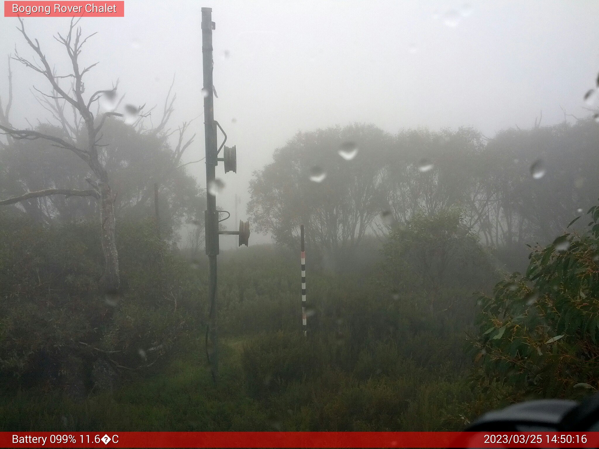 Bogong Web Cam 2:50pm Saturday 25th of March 2023