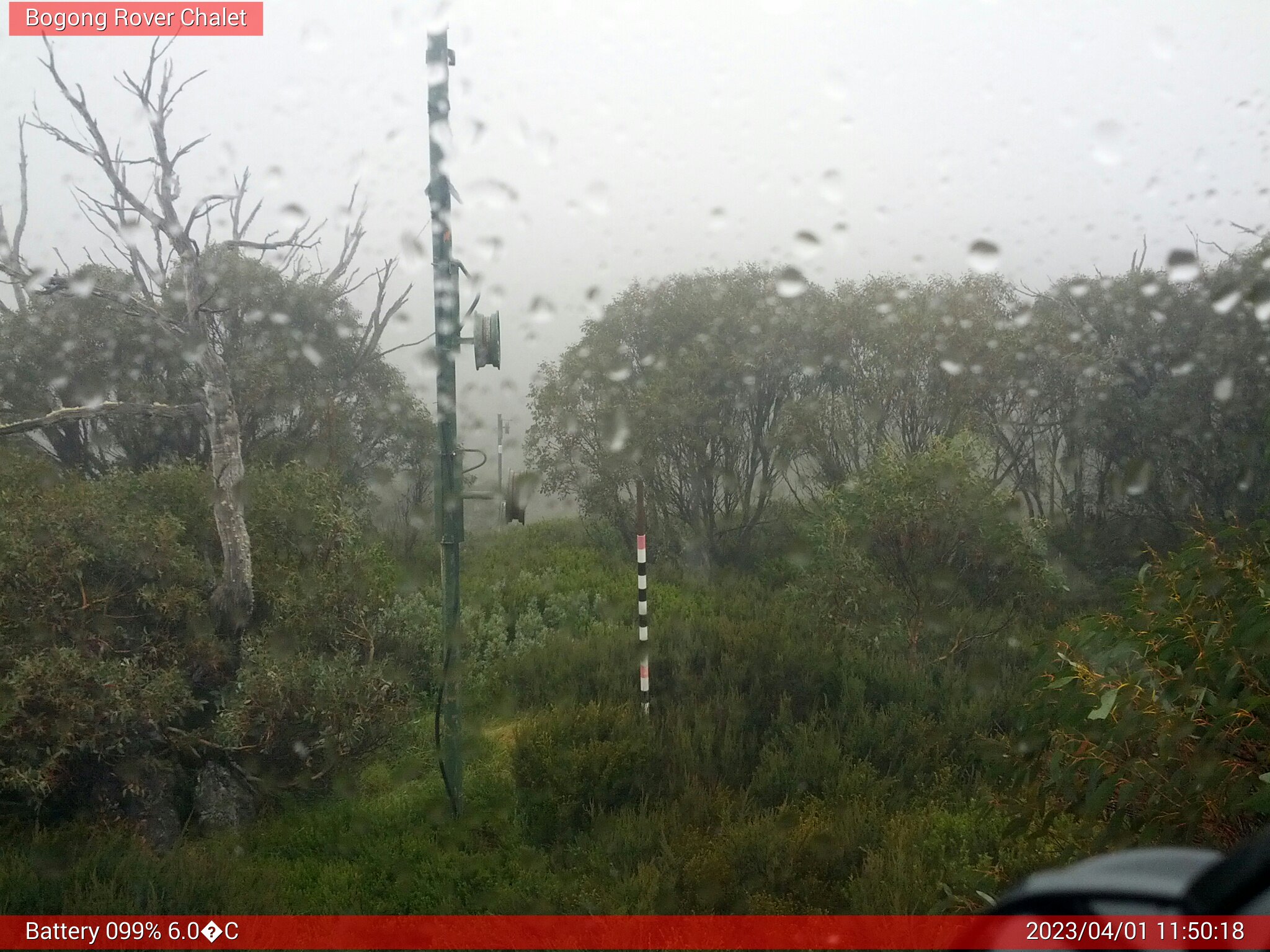 Bogong Web Cam 11:50am Saturday 1st of April 2023