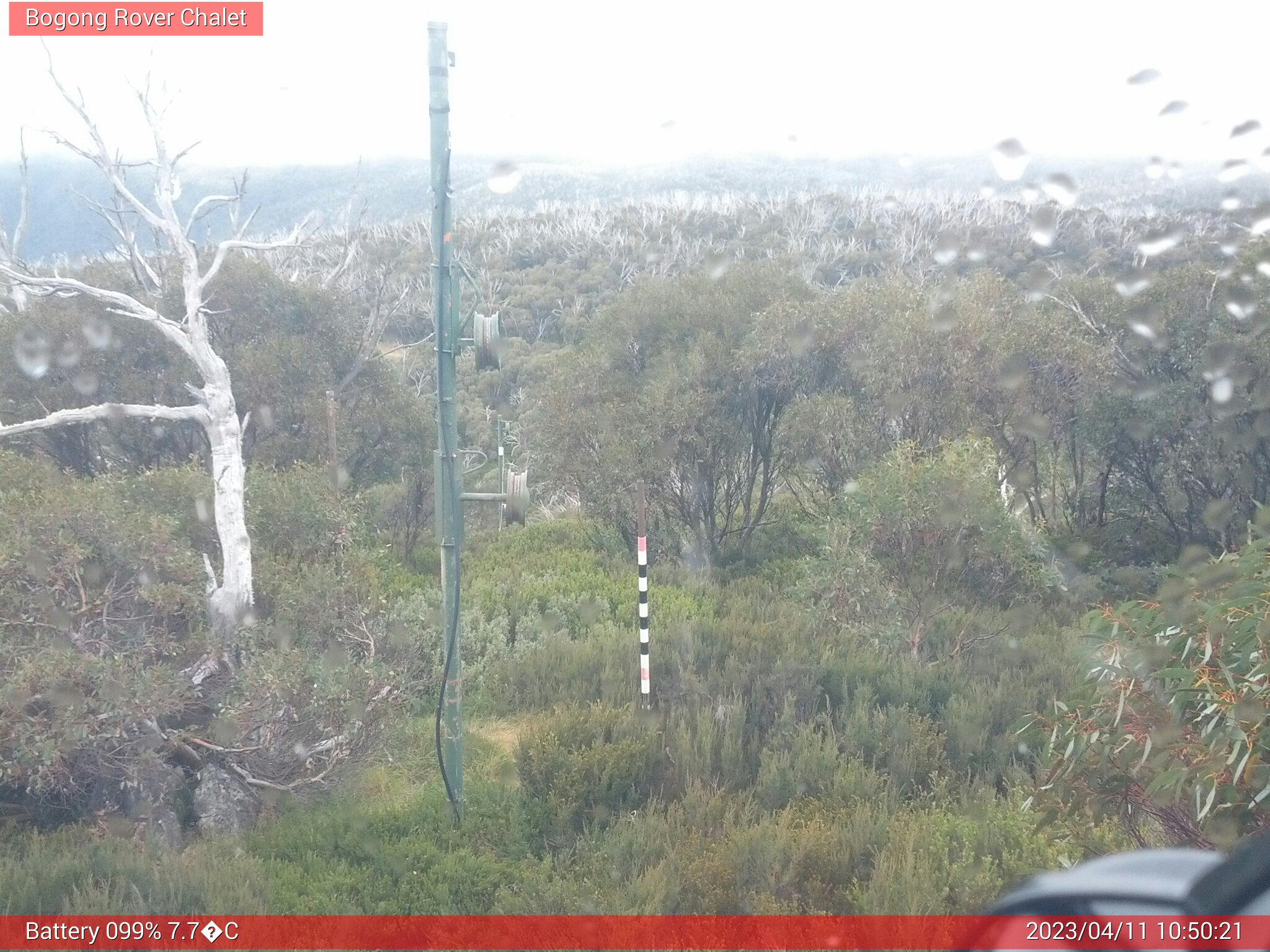 Bogong Web Cam 10:50am Tuesday 11th of April 2023