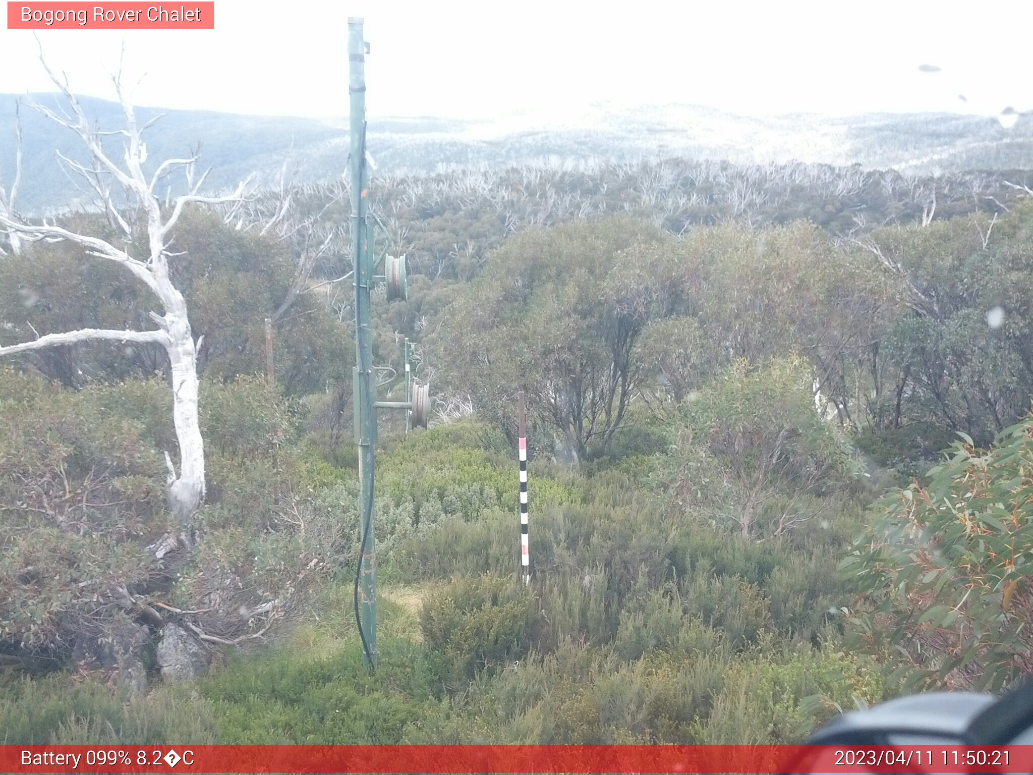 Bogong Web Cam 11:50am Tuesday 11th of April 2023