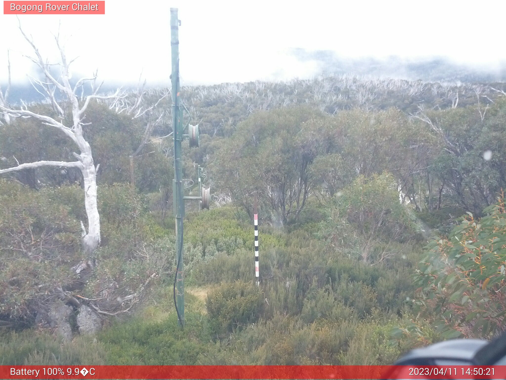 Bogong Web Cam 2:50pm Tuesday 11th of April 2023