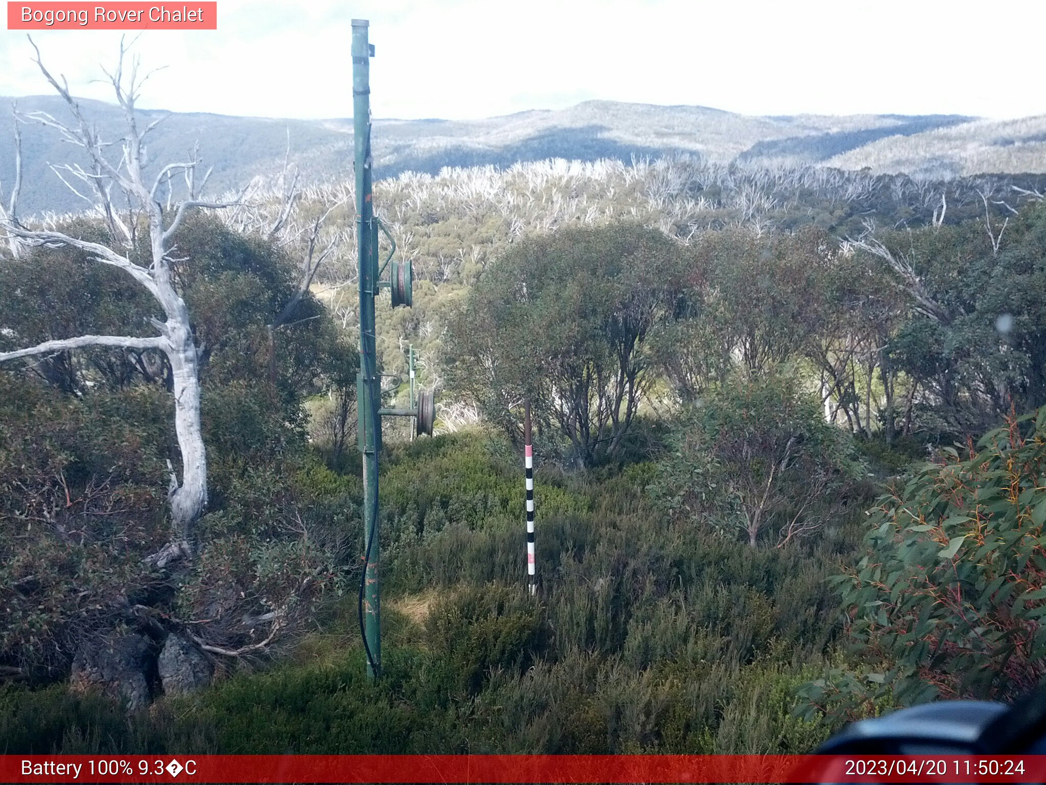 Bogong Web Cam 11:50am Thursday 20th of April 2023