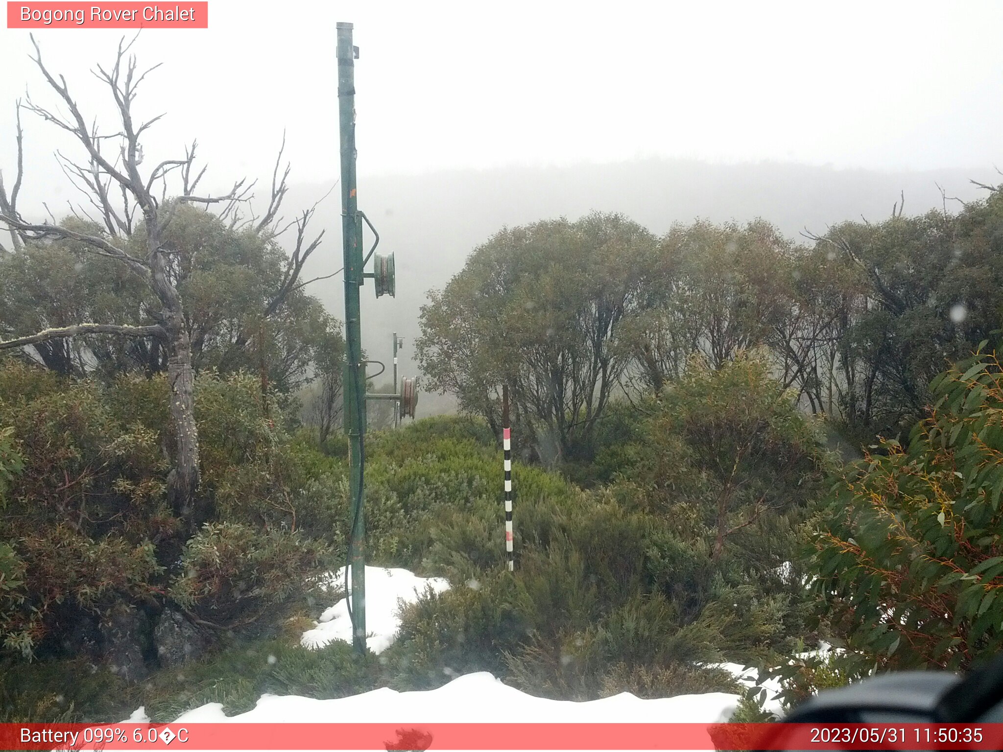 Bogong Web Cam 11:50am Wednesday 31st of May 2023