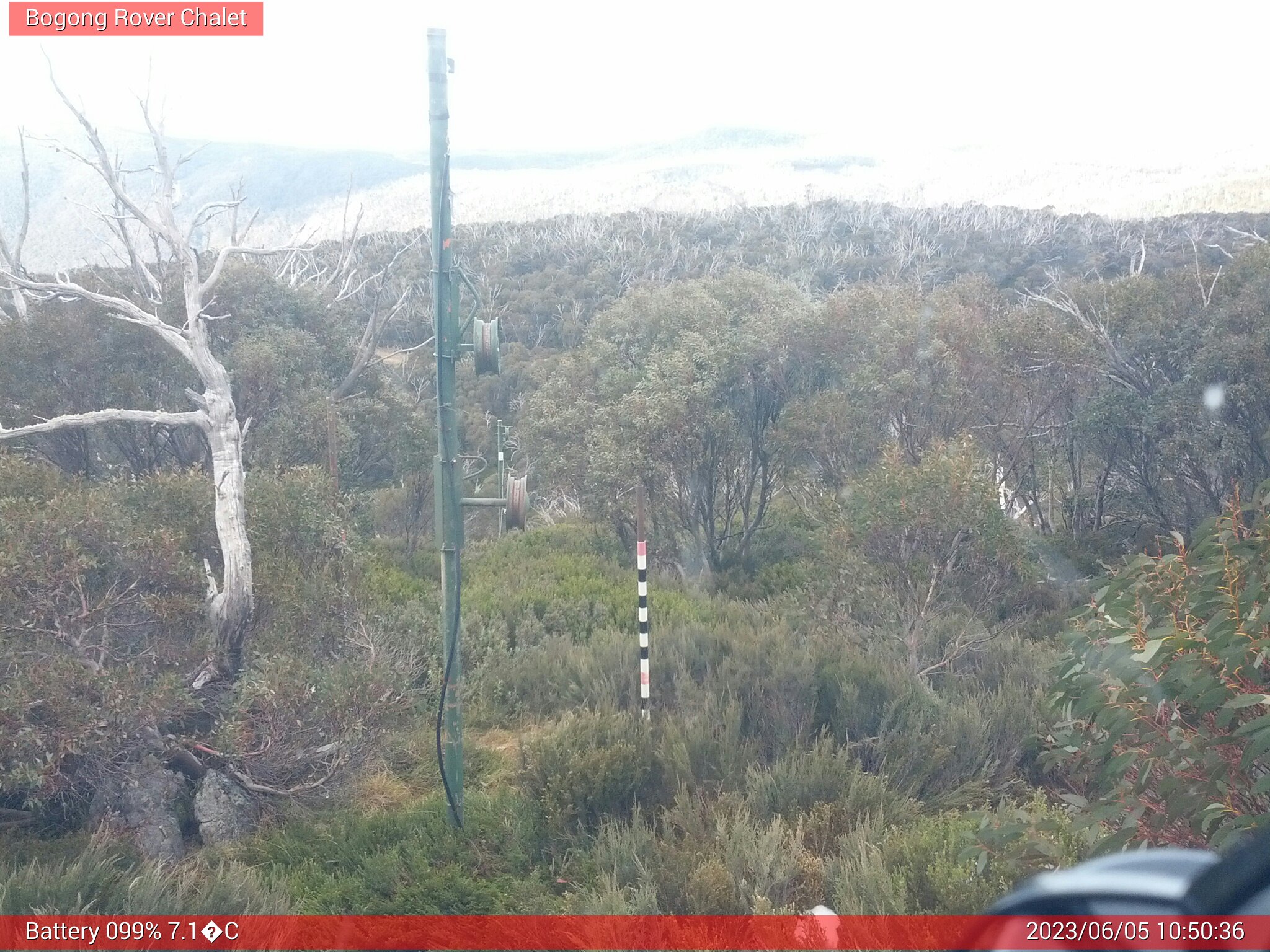 Bogong Web Cam 10:50am Monday 5th of June 2023