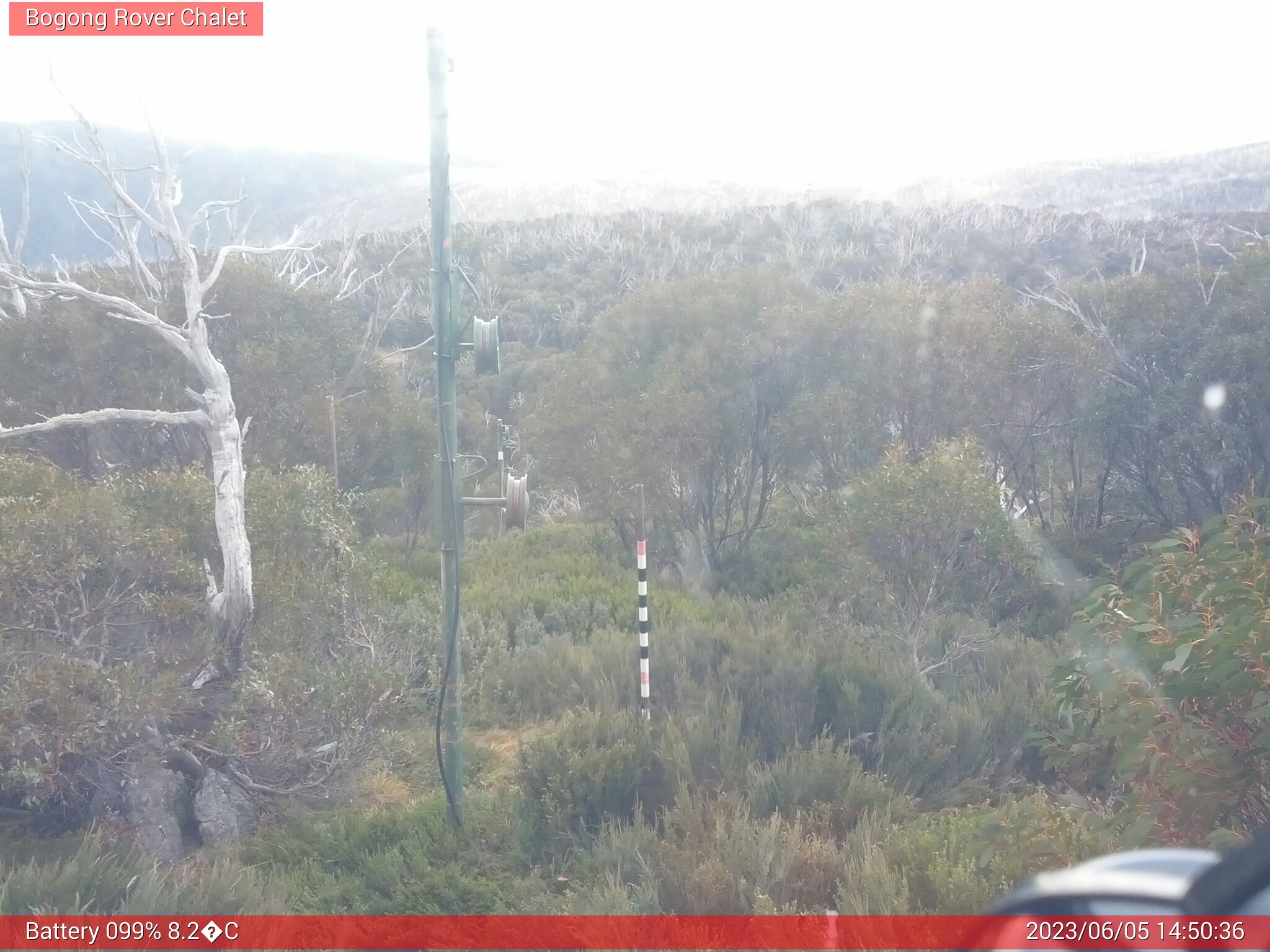 Bogong Web Cam 2:50pm Monday 5th of June 2023