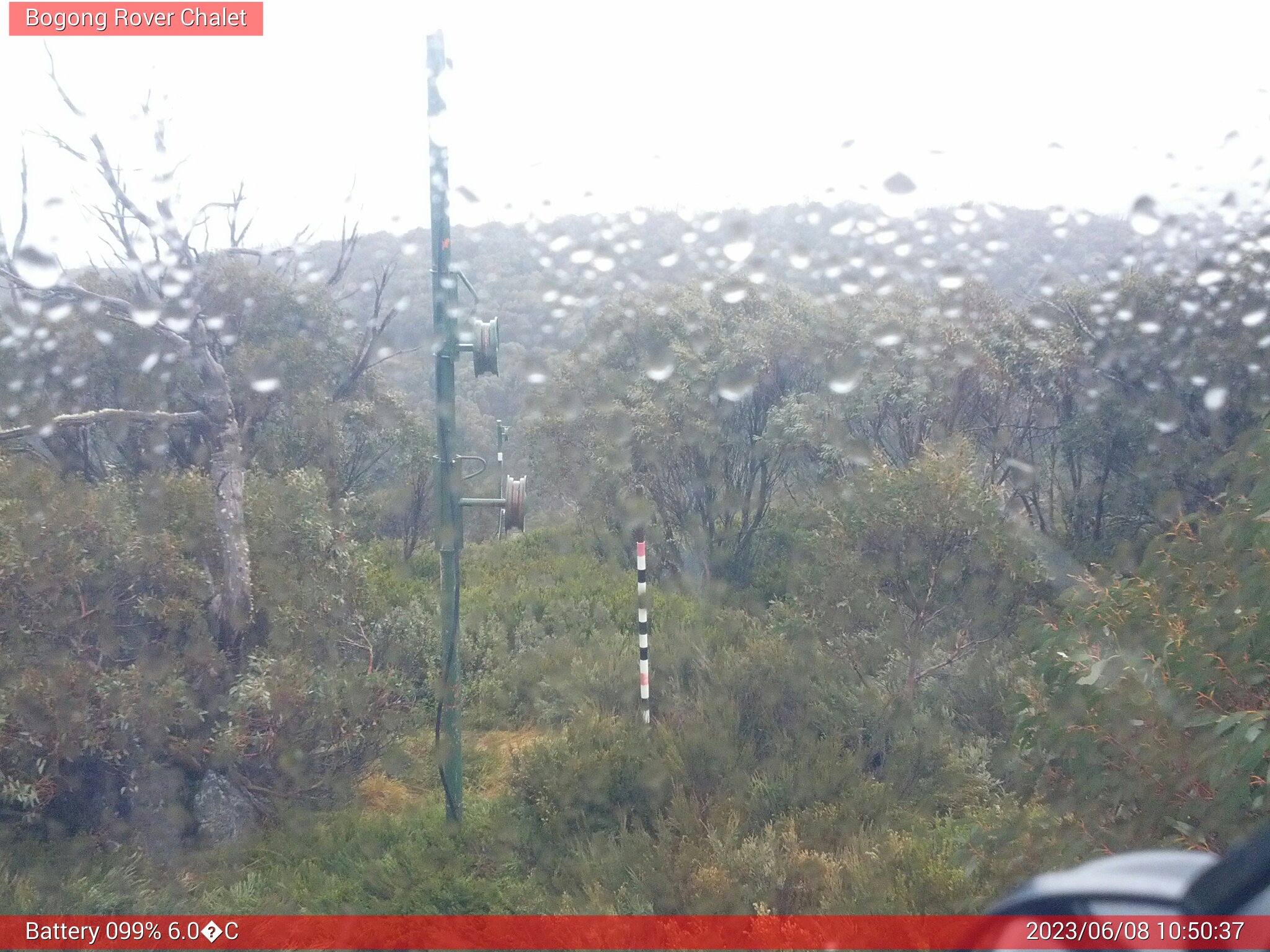 Bogong Web Cam 10:50am Thursday 8th of June 2023