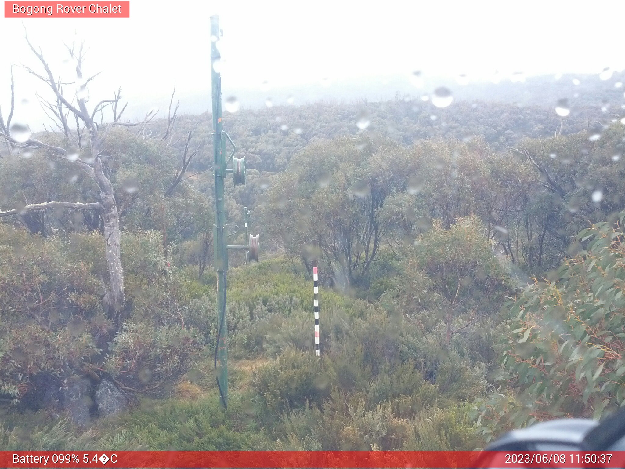 Bogong Web Cam 11:50am Thursday 8th of June 2023