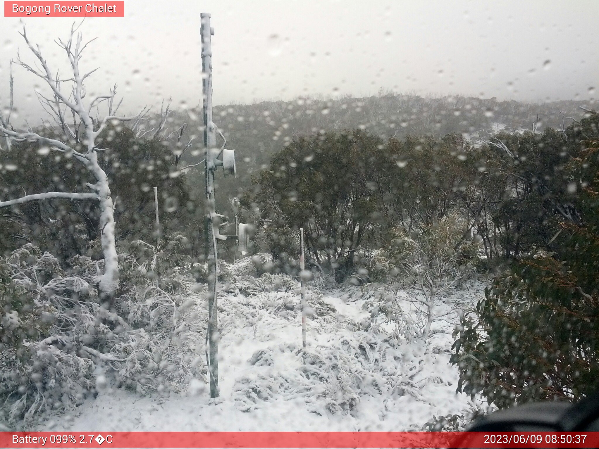 Bogong Web Cam 8:50am Friday 9th of June 2023