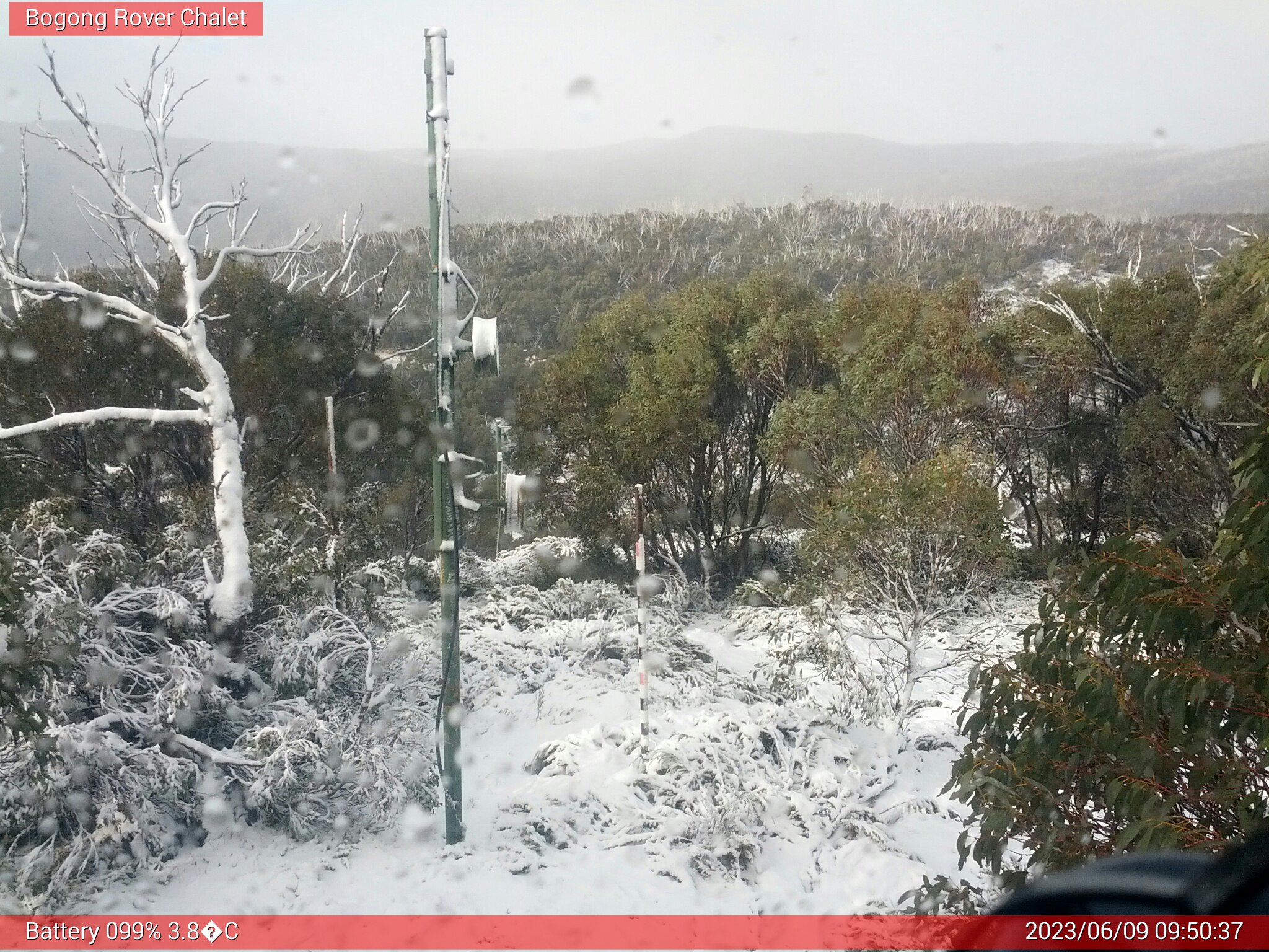 Bogong Web Cam 9:50am Friday 9th of June 2023