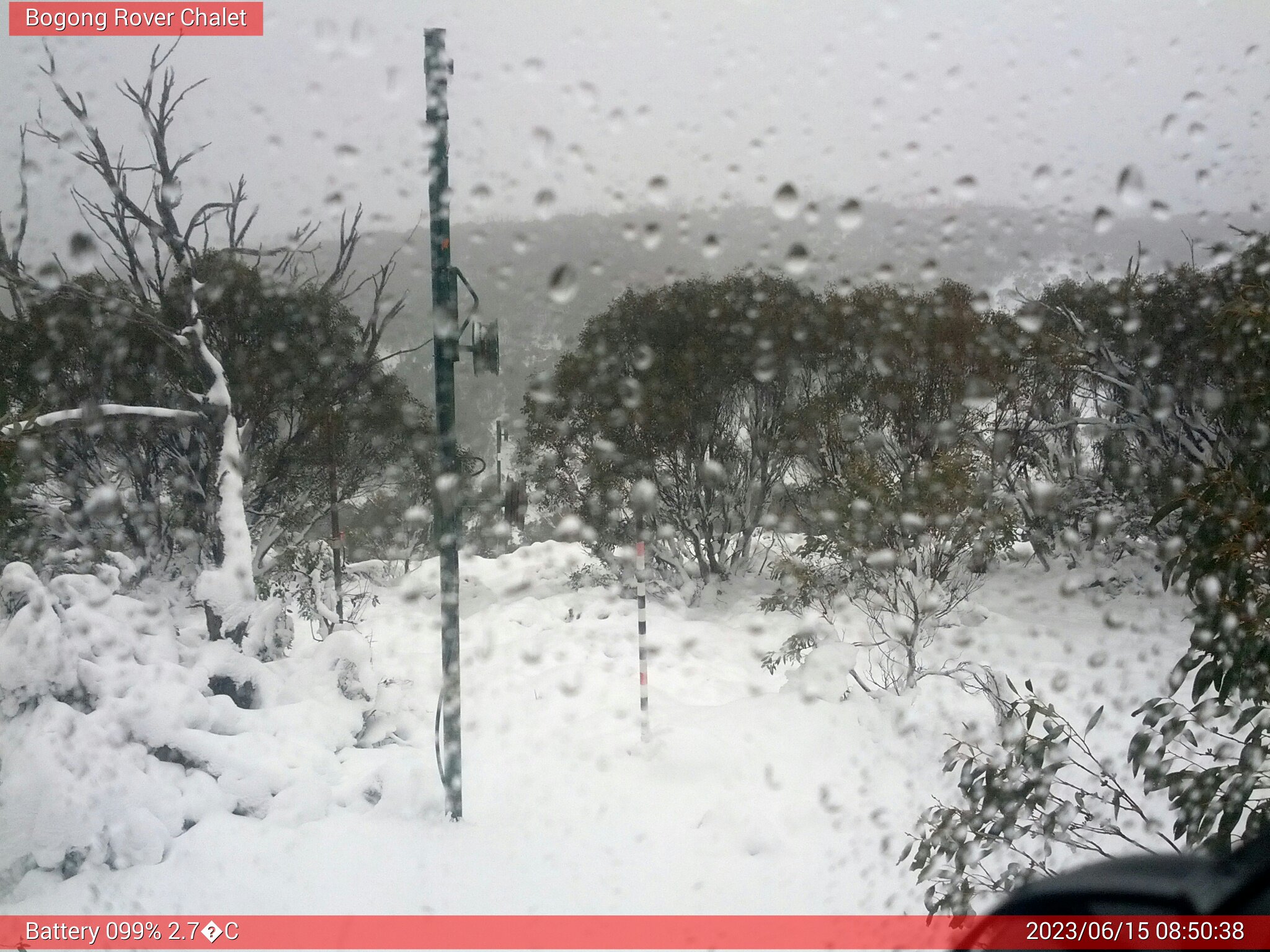 Bogong Web Cam 8:50am Thursday 15th of June 2023