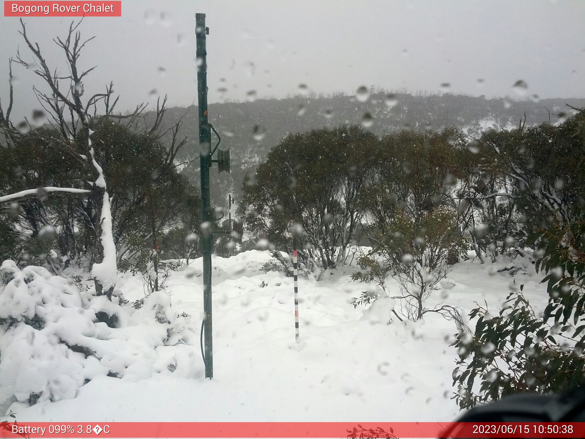 Bogong Web Cam 10:50am Thursday 15th of June 2023