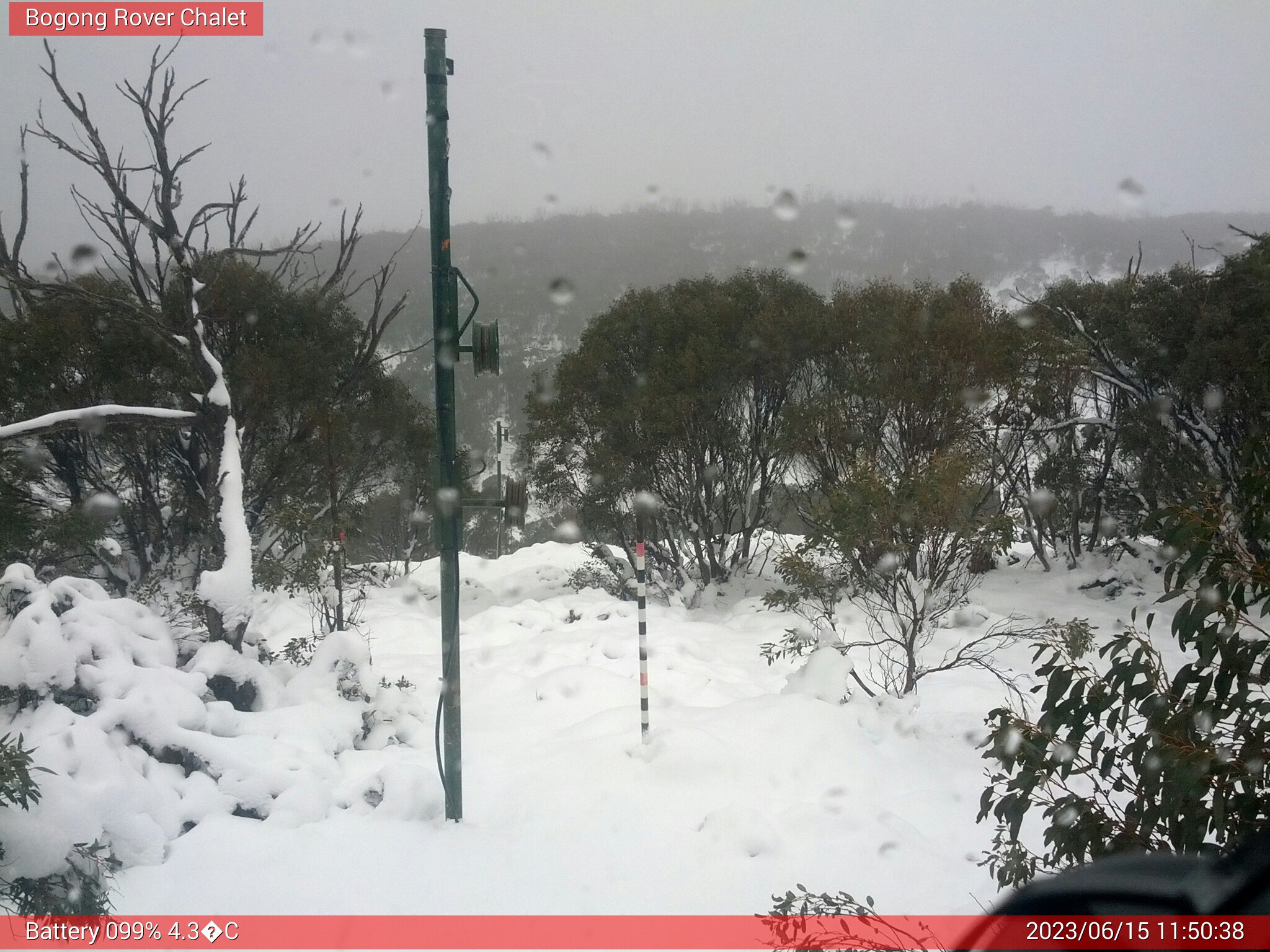 Bogong Web Cam 11:50am Thursday 15th of June 2023