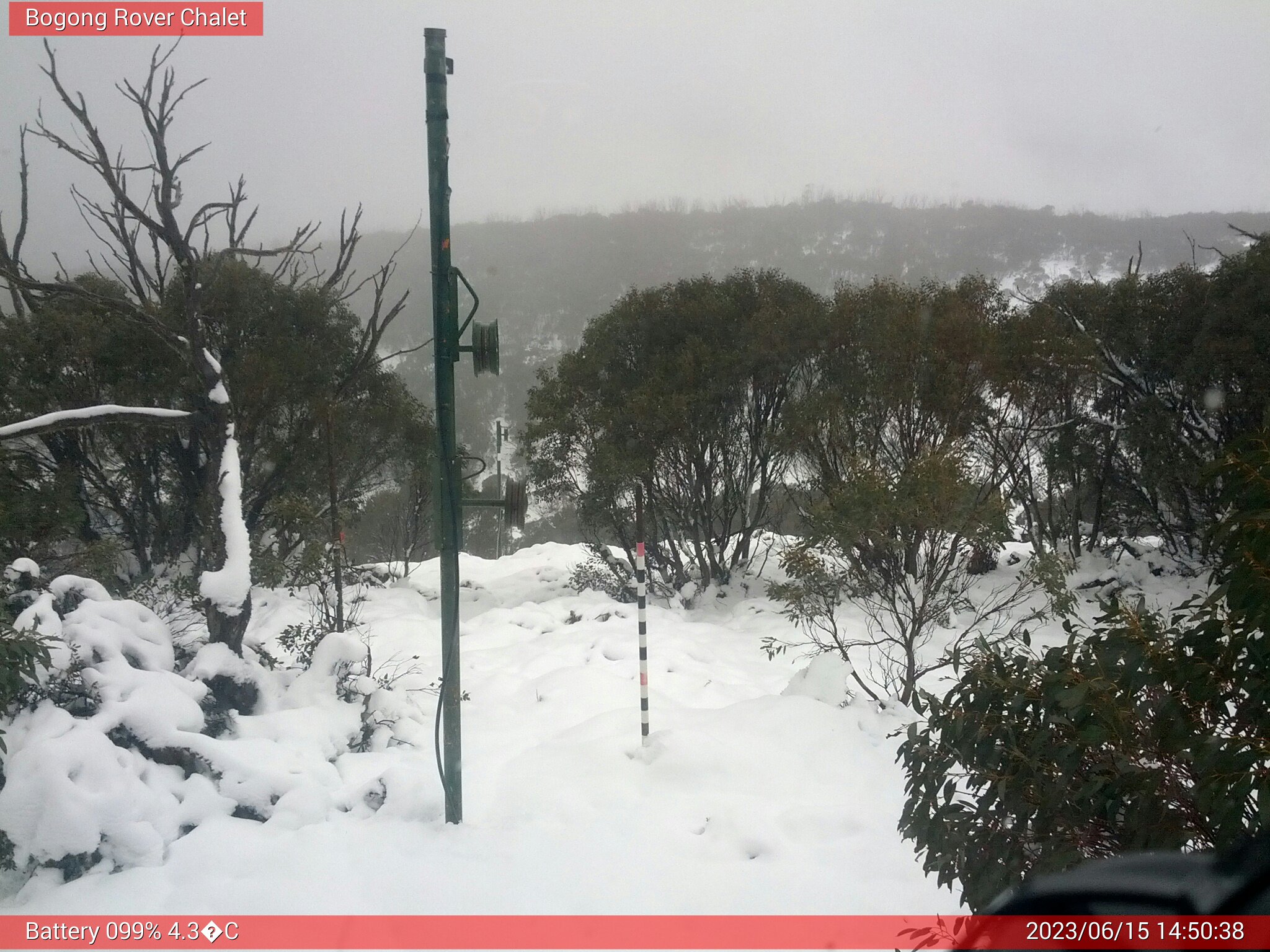 Bogong Web Cam 2:50pm Thursday 15th of June 2023