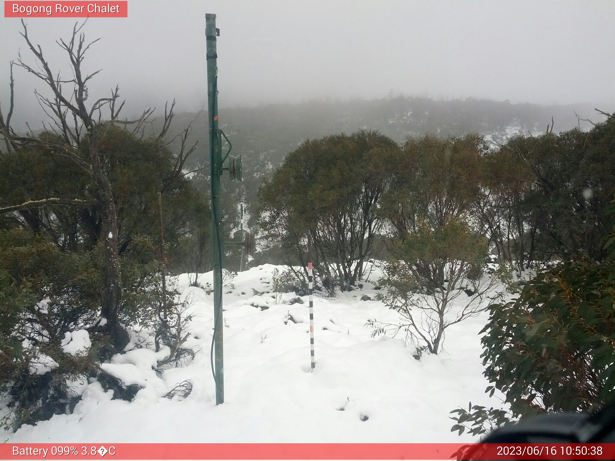 Bogong Web Cam 10:50am Friday 16th of June 2023