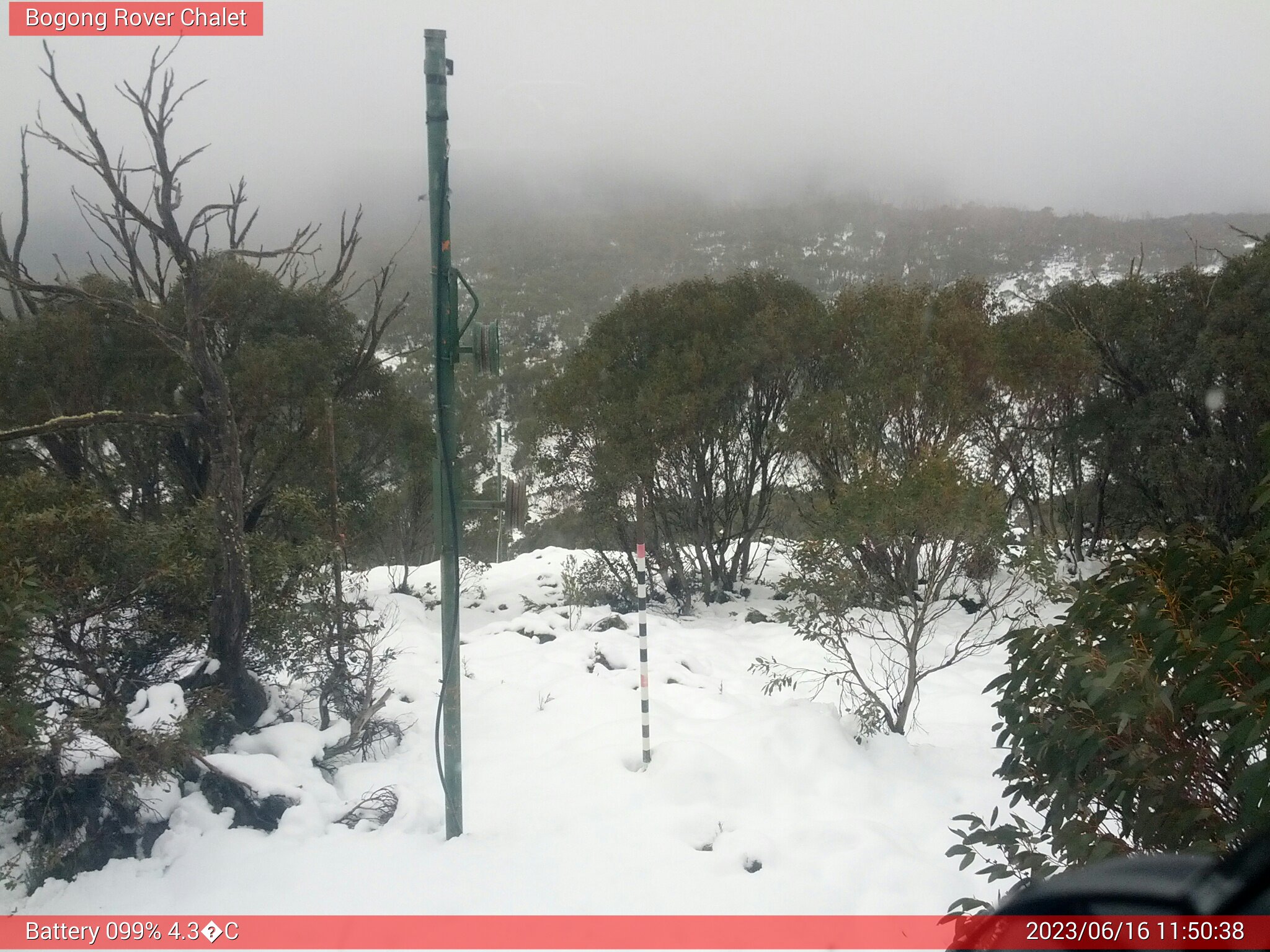 Bogong Web Cam 11:50am Friday 16th of June 2023