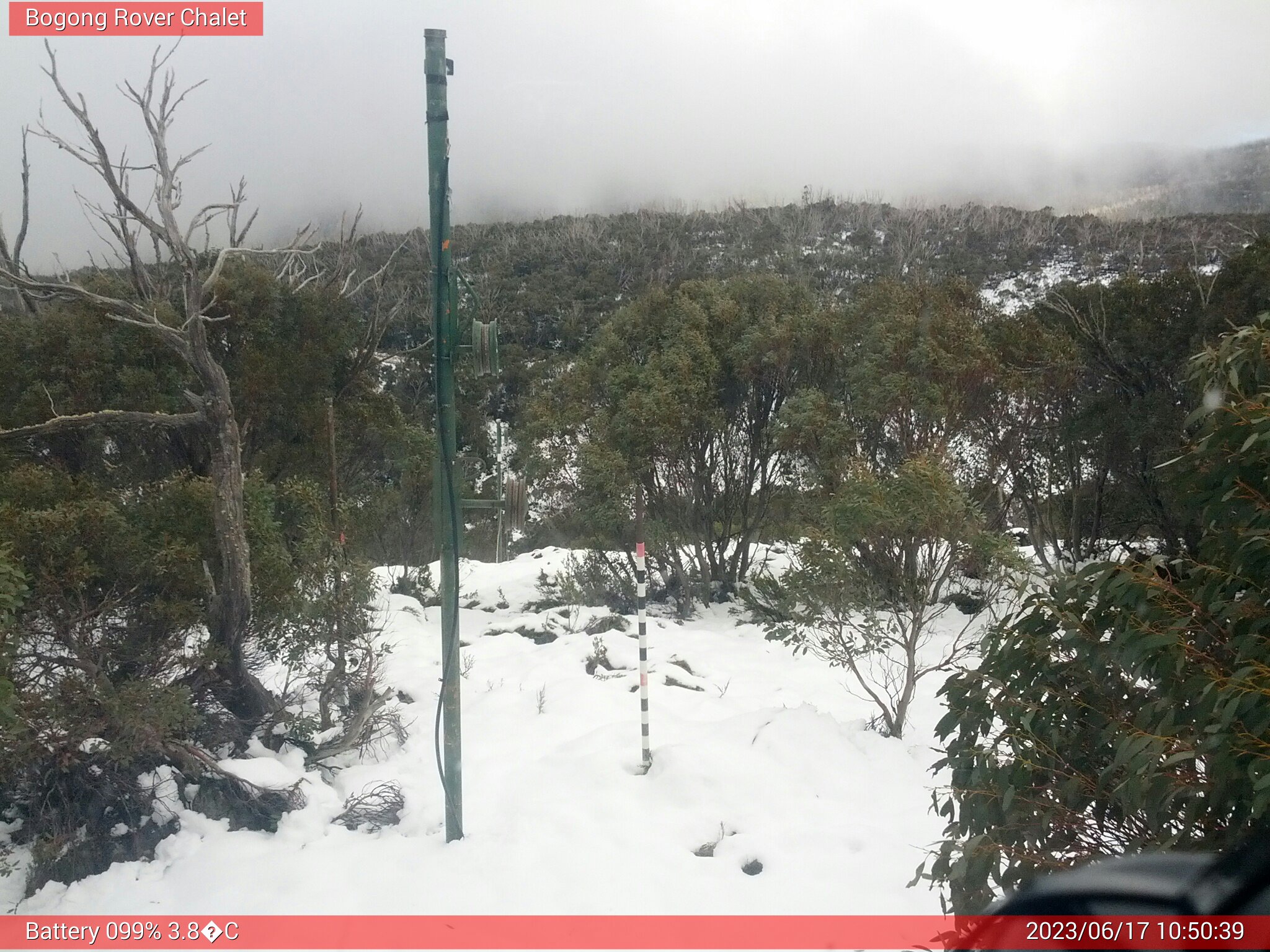 Bogong Web Cam 10:50am Saturday 17th of June 2023