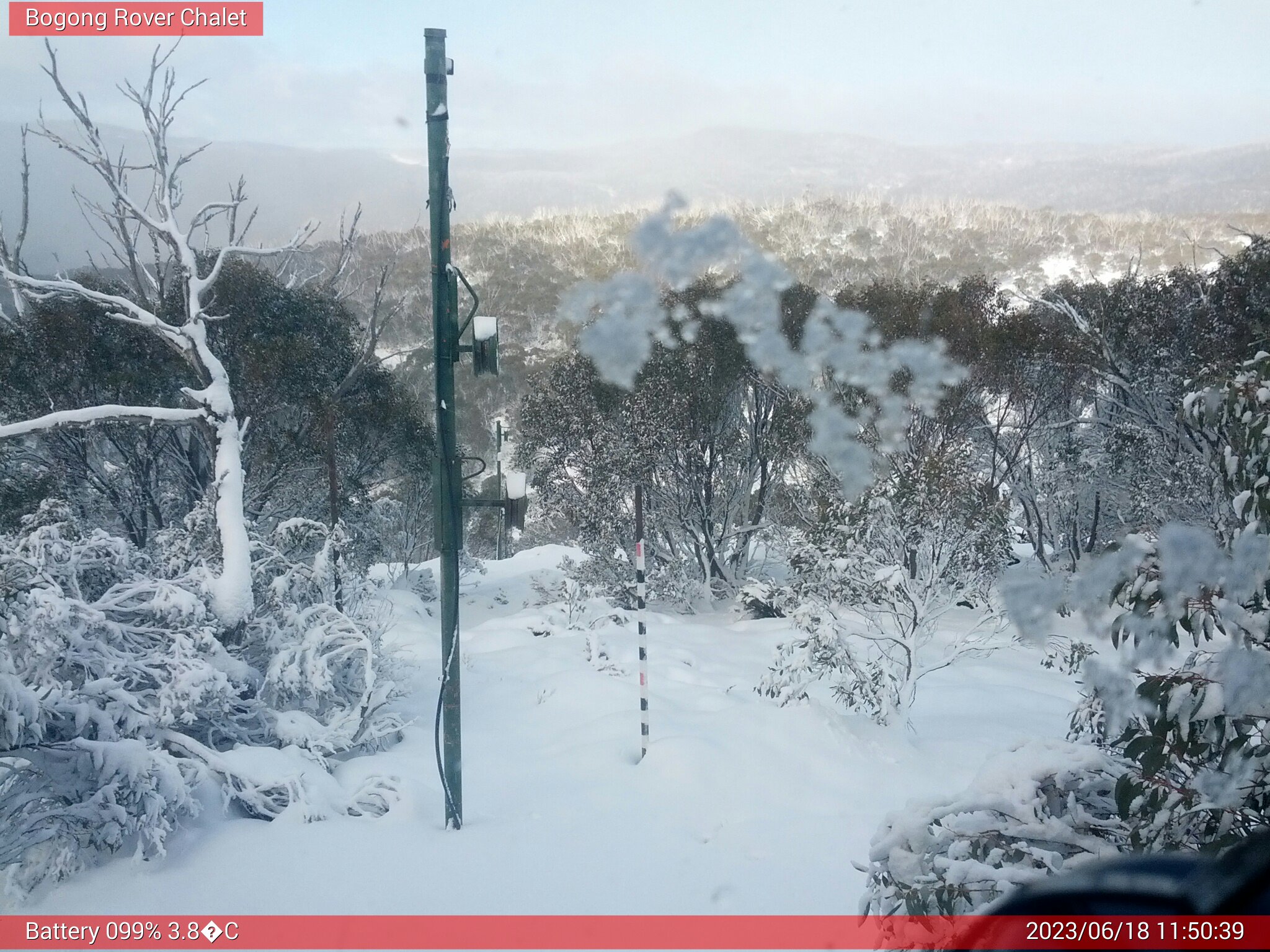 Bogong Web Cam 11:50am Sunday 18th of June 2023