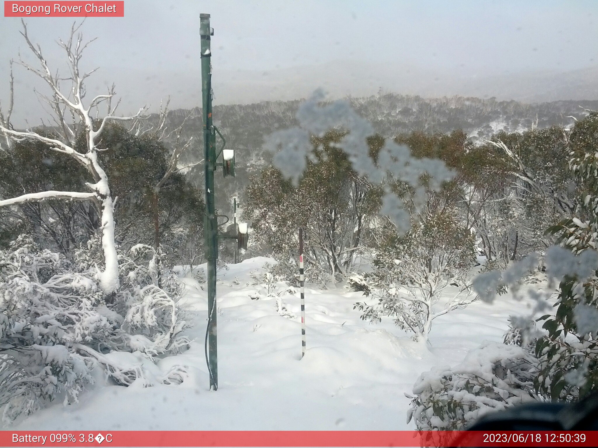 Bogong Web Cam 12:50pm Sunday 18th of June 2023