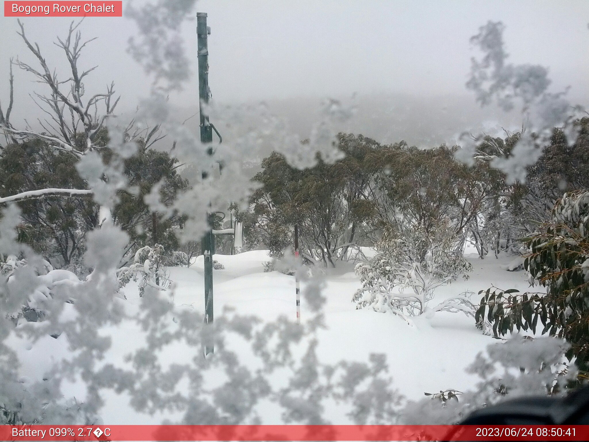 Bogong Web Cam 8:50am Saturday 24th of June 2023