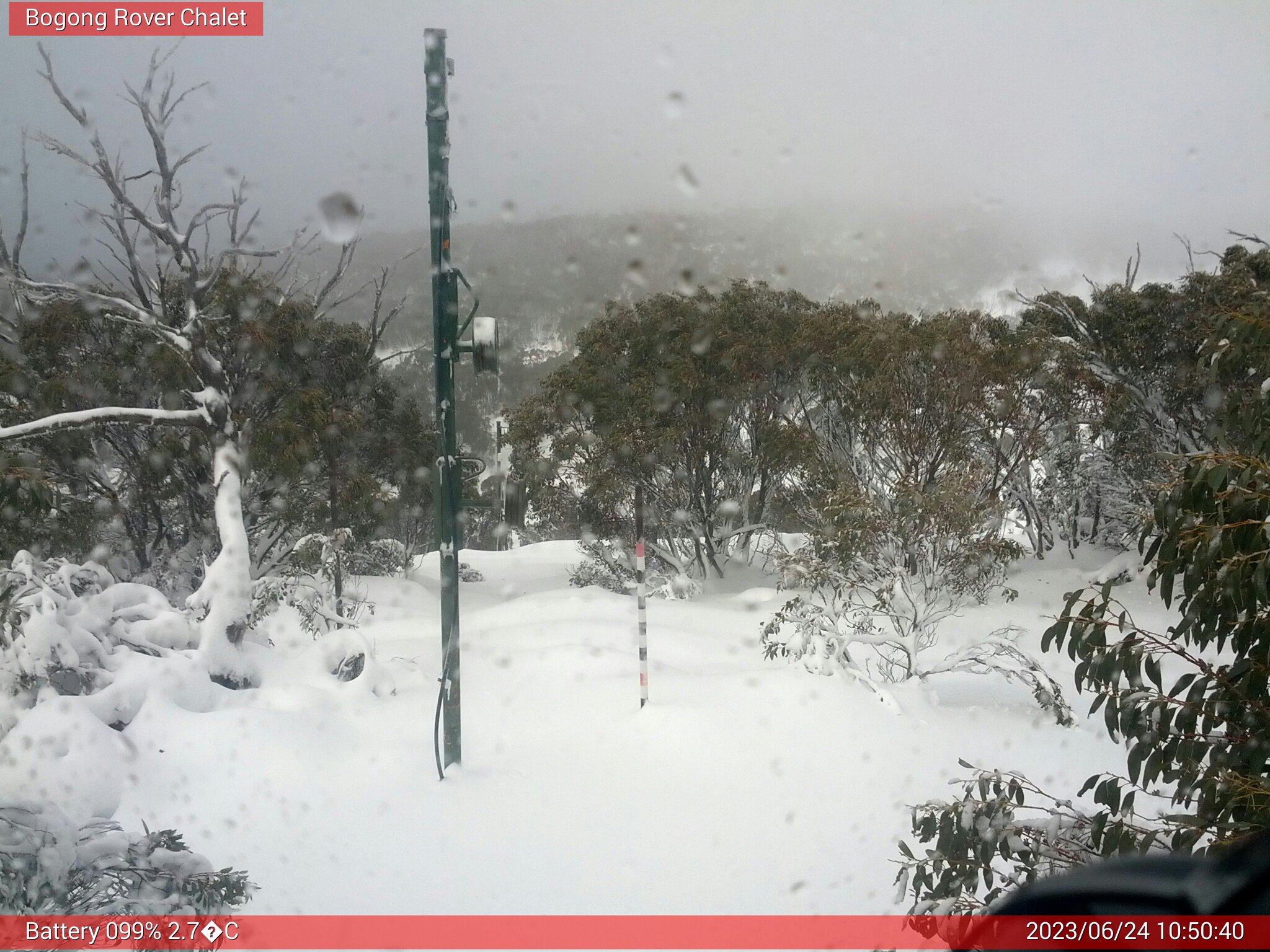 Bogong Web Cam 10:50am Saturday 24th of June 2023