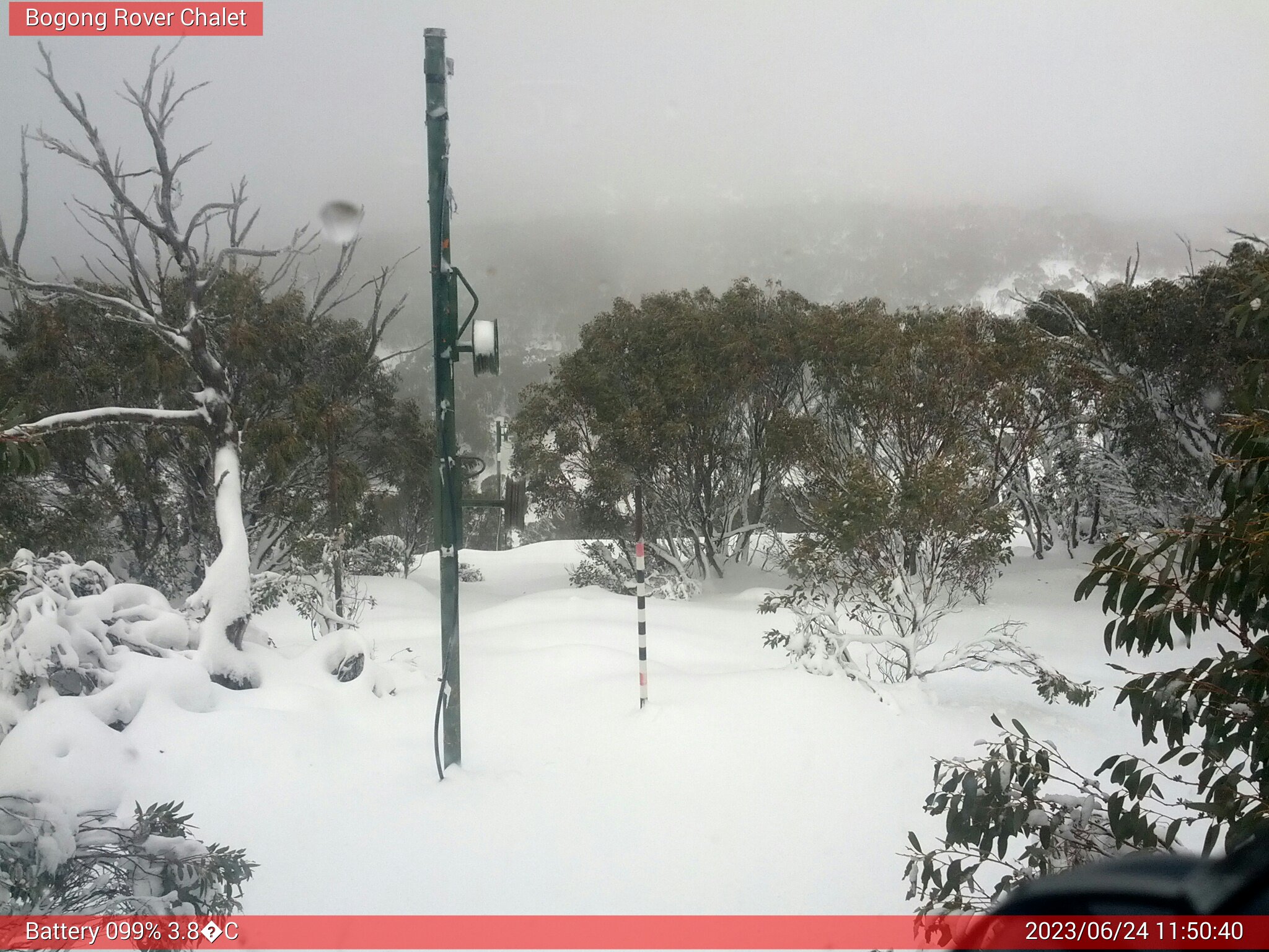 Bogong Web Cam 11:50am Saturday 24th of June 2023