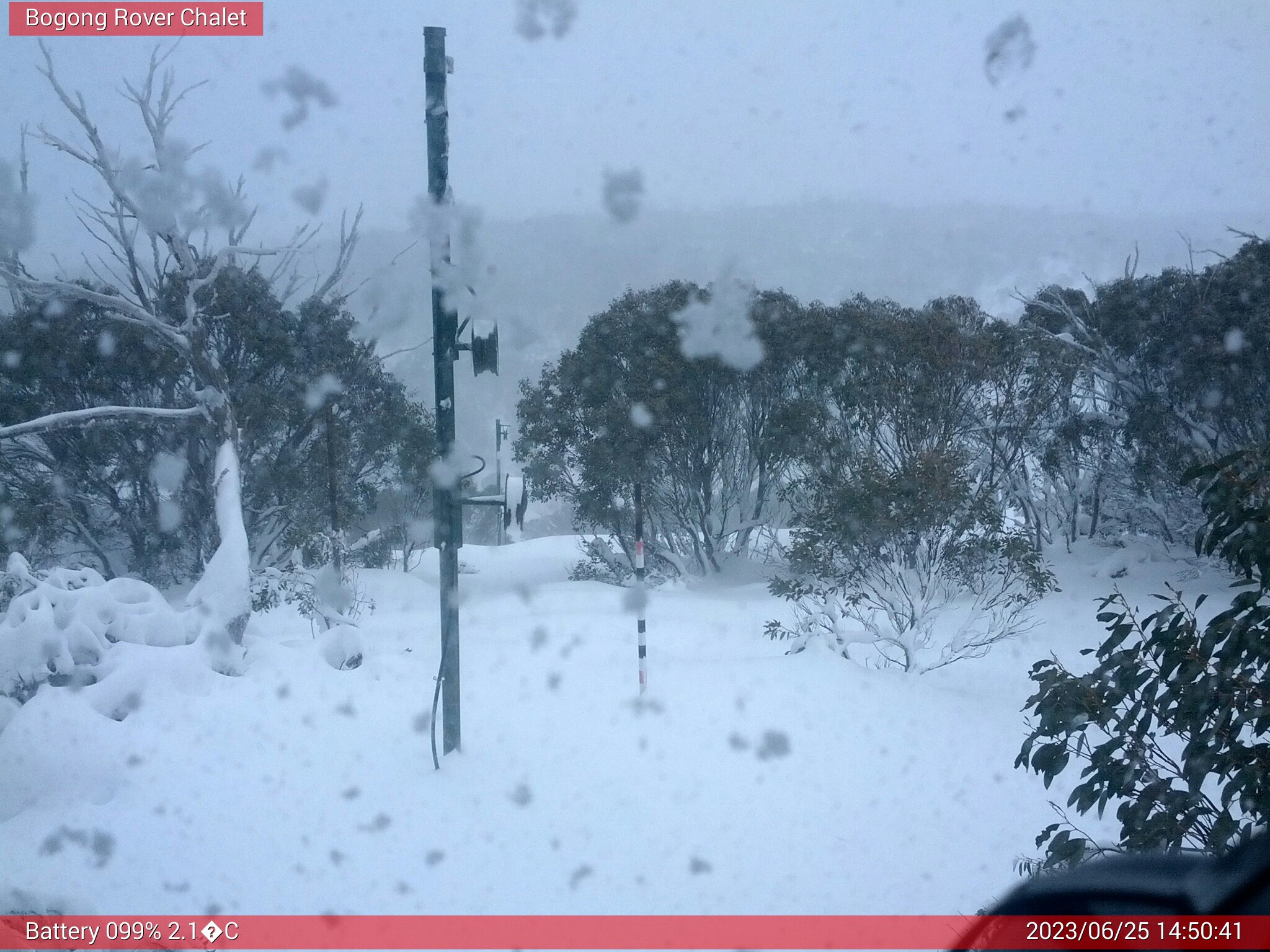 Bogong Web Cam 2:50pm Sunday 25th of June 2023