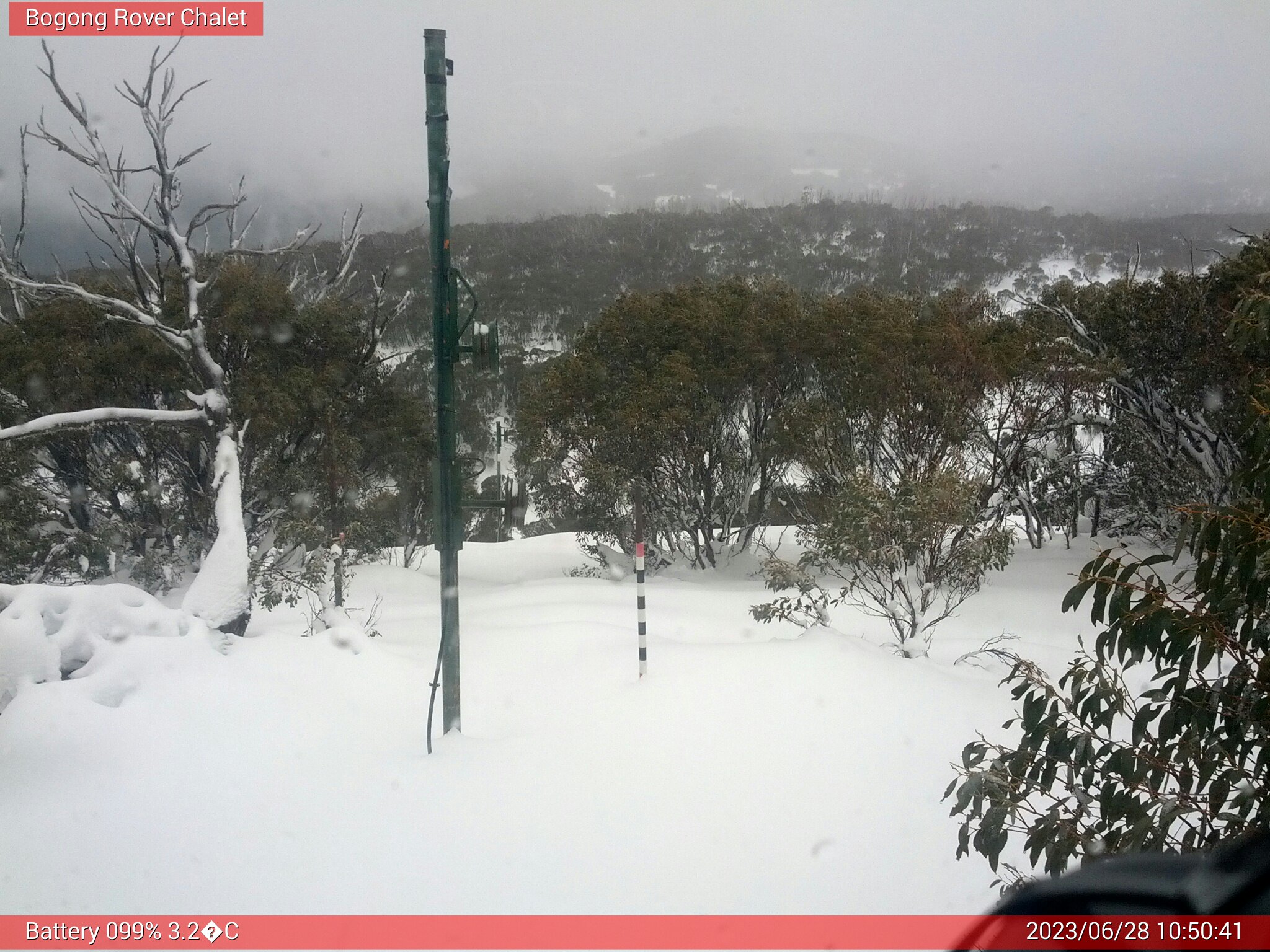 Bogong Web Cam 10:50am Wednesday 28th of June 2023