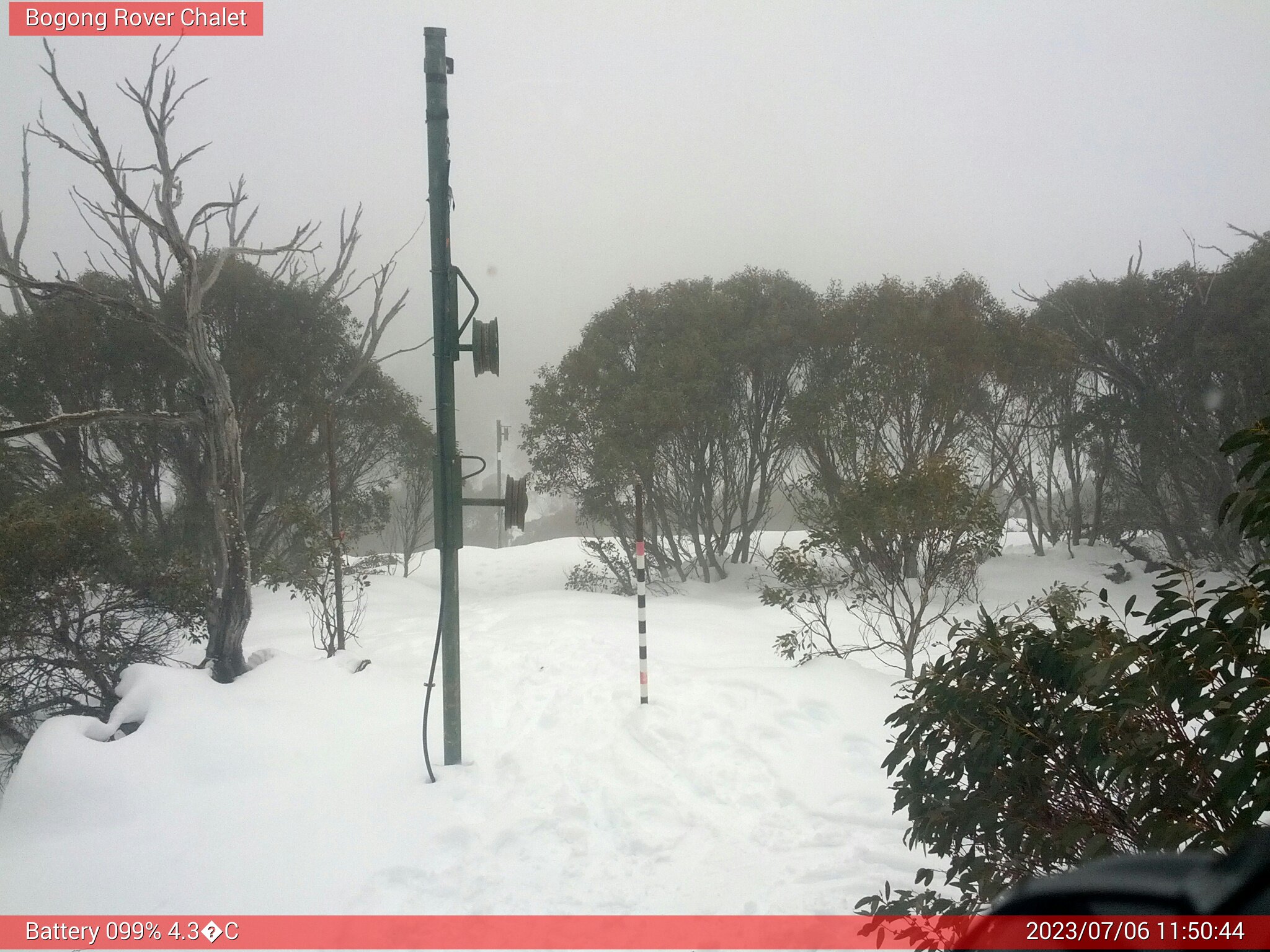 Bogong Web Cam 11:50am Thursday 6th of July 2023