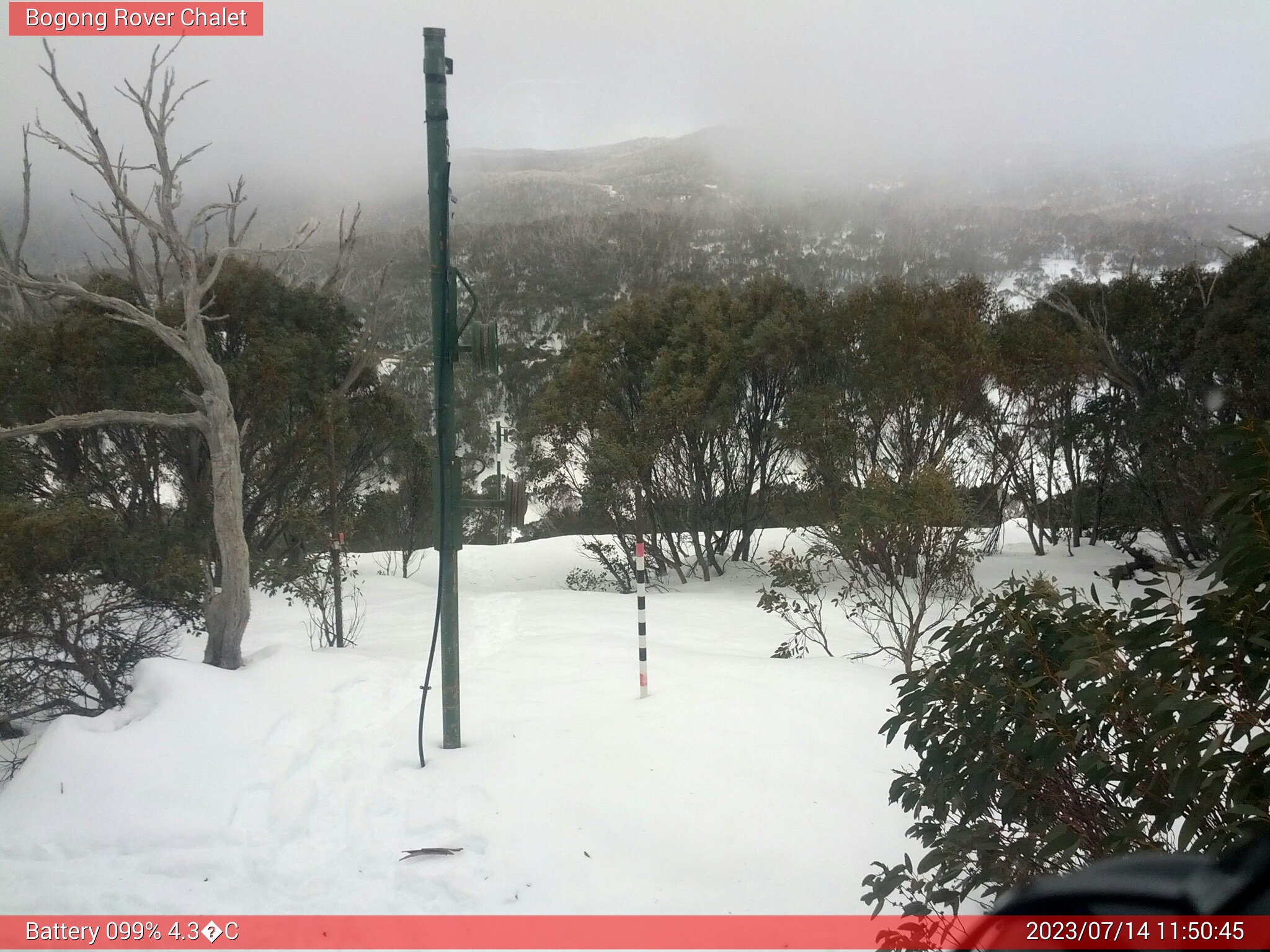 Bogong Web Cam 11:50am Friday 14th of July 2023