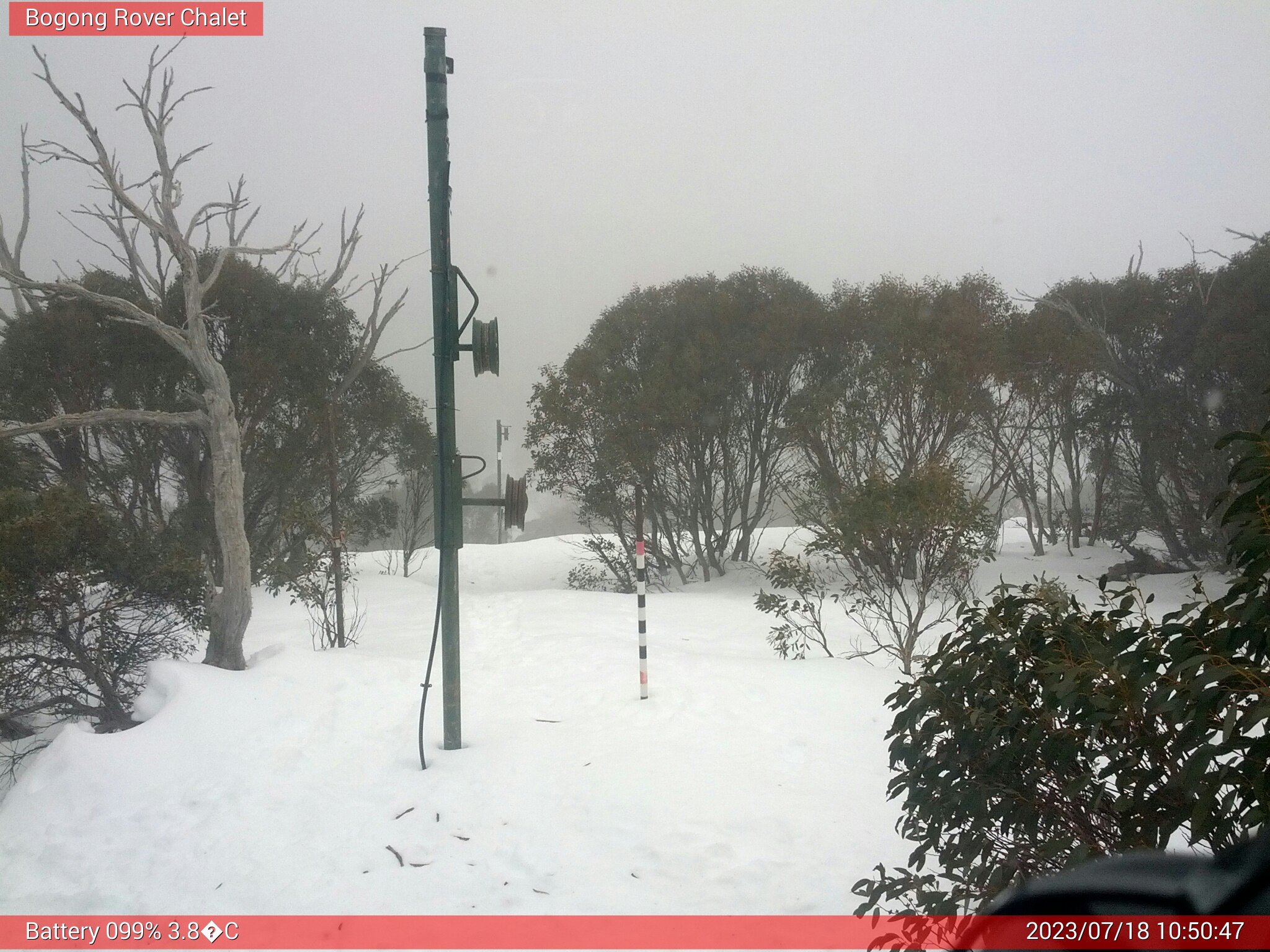 Bogong Web Cam 10:50am Tuesday 18th of July 2023