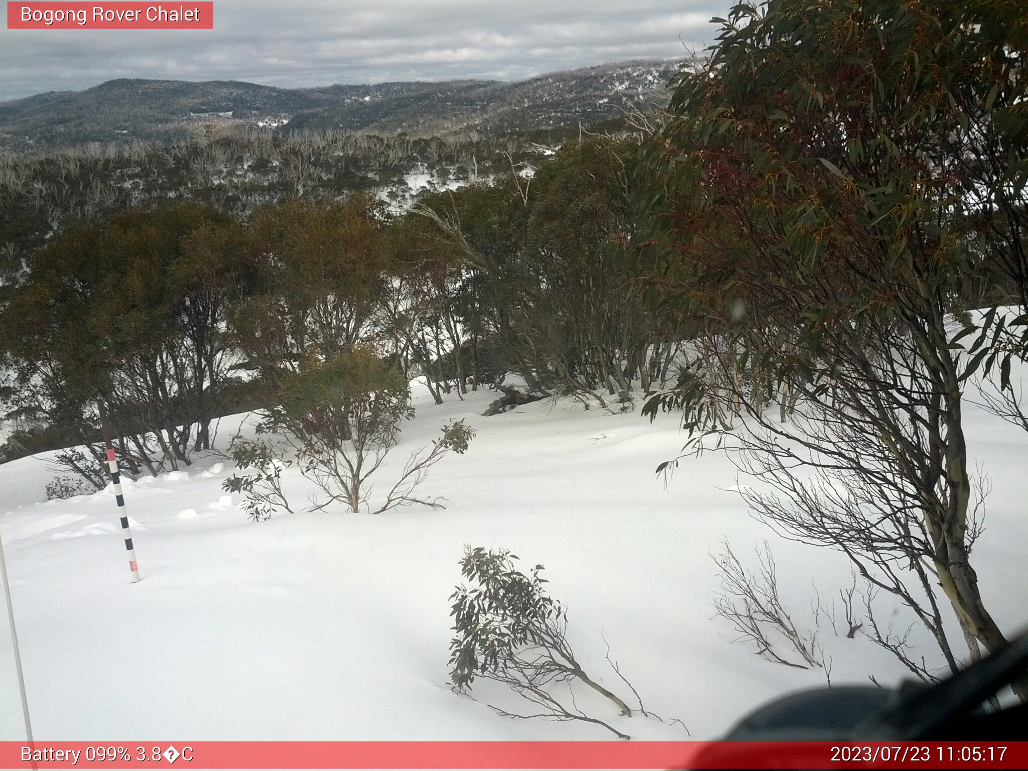 Bogong Web Cam 11:05am Sunday 23rd of July 2023