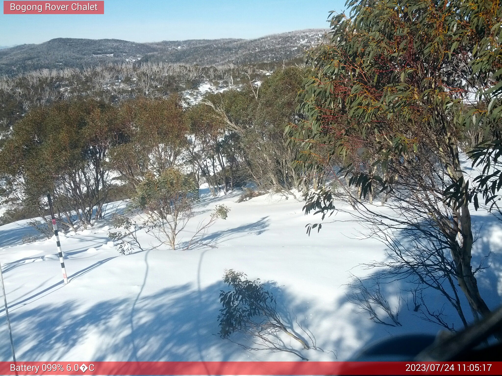 Bogong Web Cam 11:05am Monday 24th of July 2023