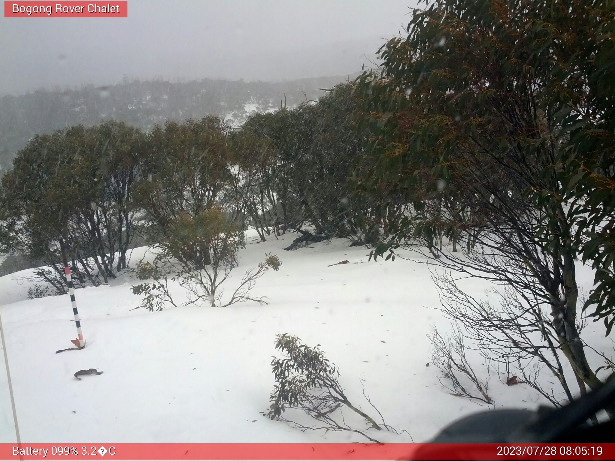 Bogong Web Cam 8:05am Friday 28th of July 2023