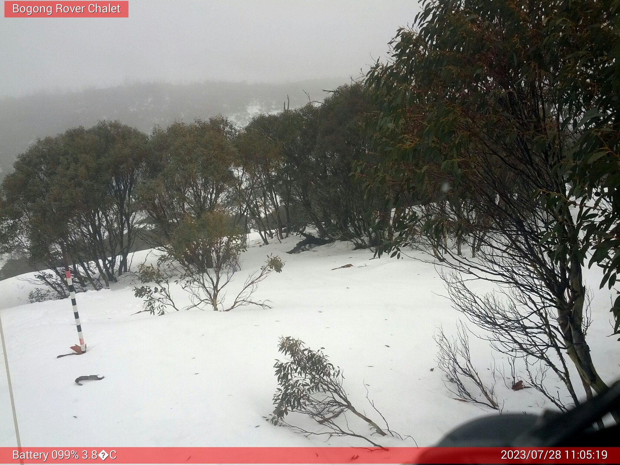 Bogong Web Cam 11:05am Friday 28th of July 2023