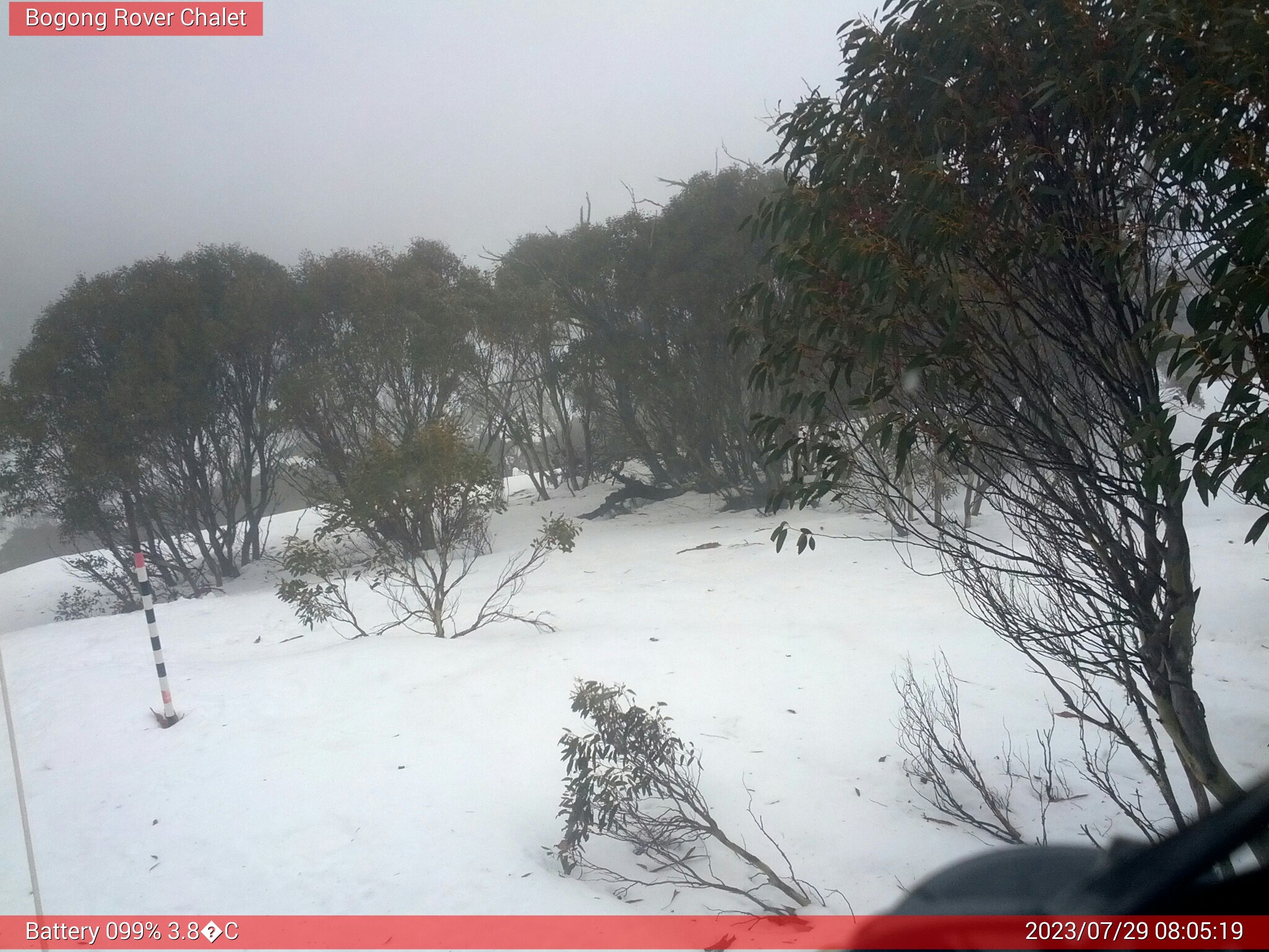 Bogong Web Cam 8:05am Saturday 29th of July 2023