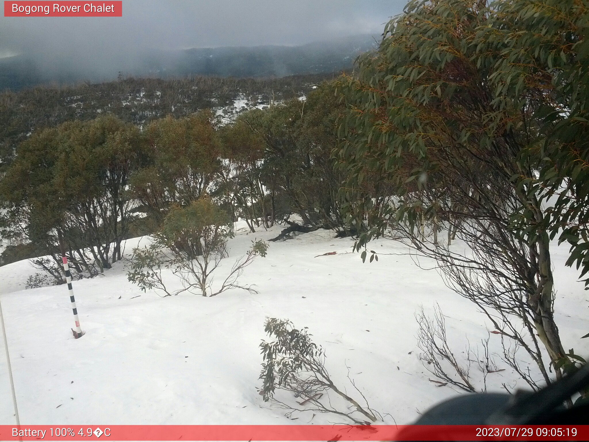 Bogong Web Cam 9:05am Saturday 29th of July 2023