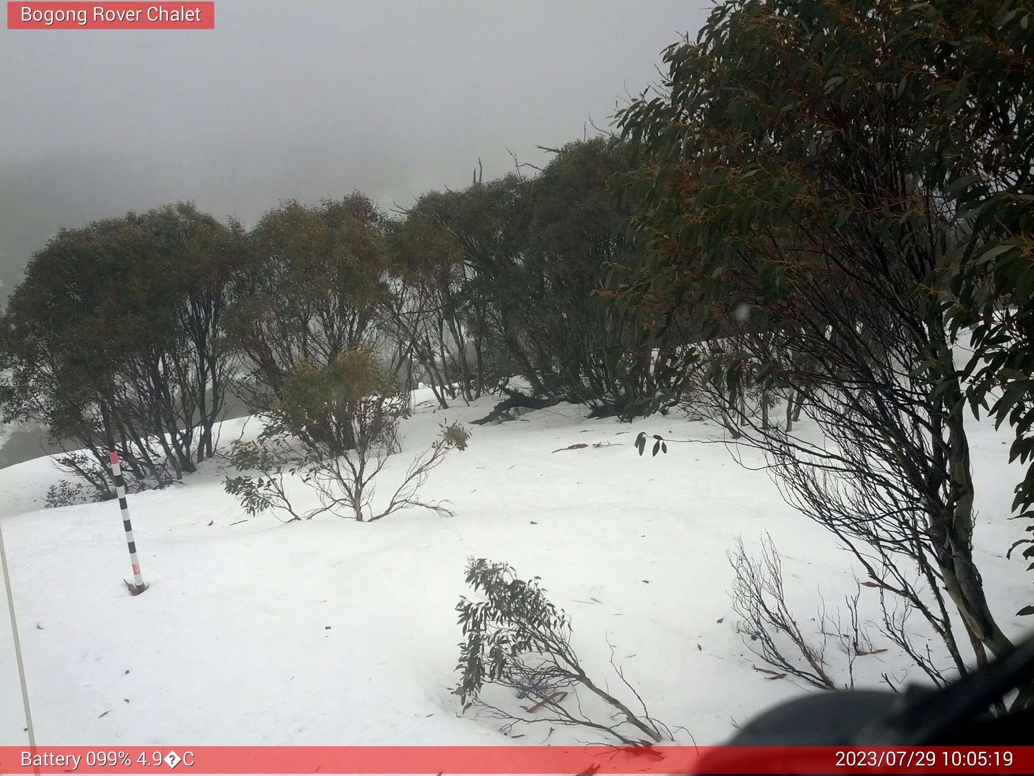 Bogong Web Cam 10:05am Saturday 29th of July 2023