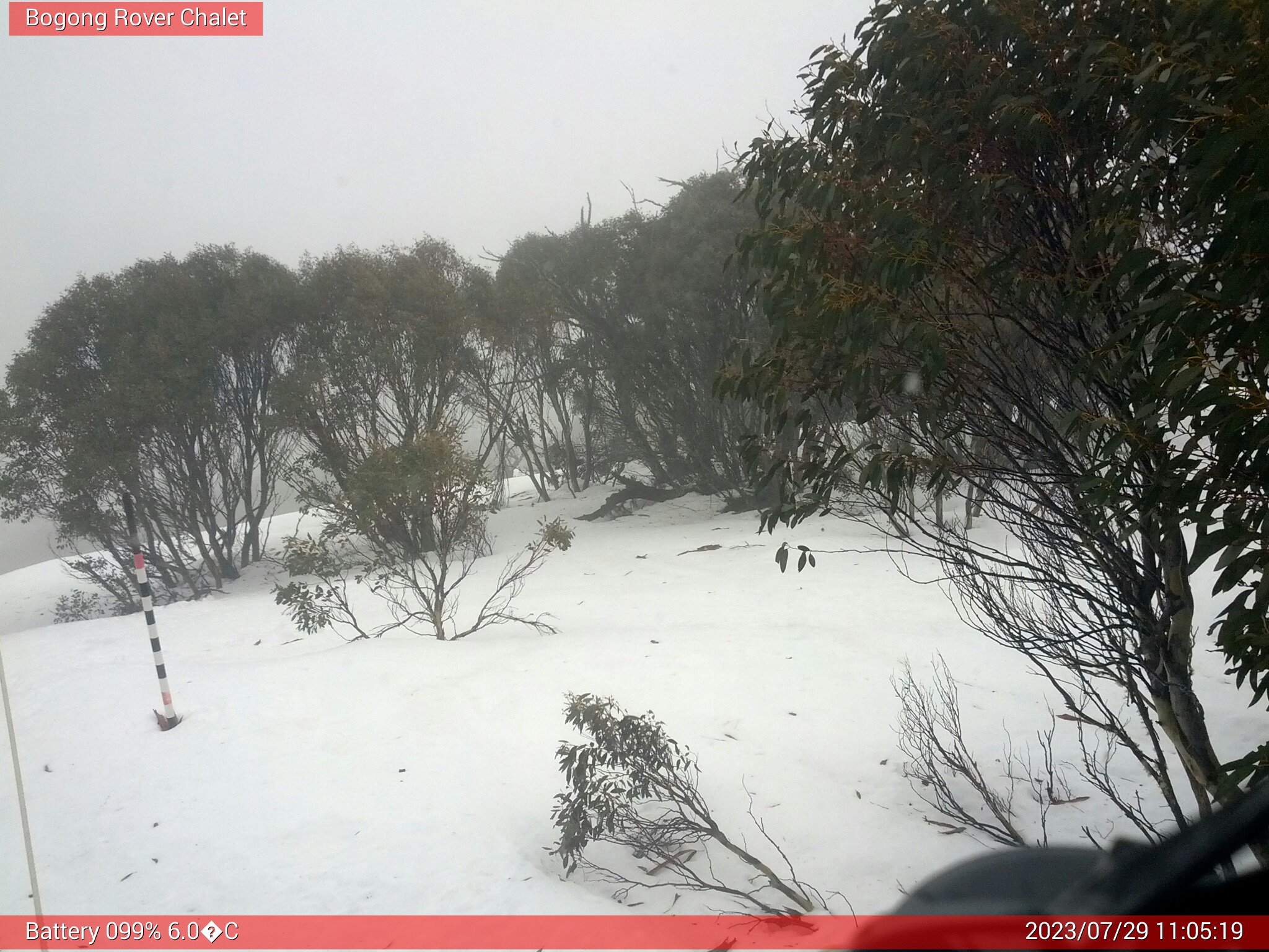 Bogong Web Cam 11:05am Saturday 29th of July 2023