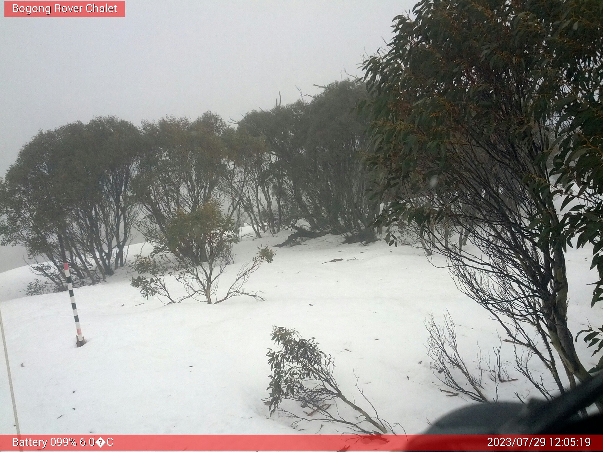 Bogong Web Cam 12:05pm Saturday 29th of July 2023