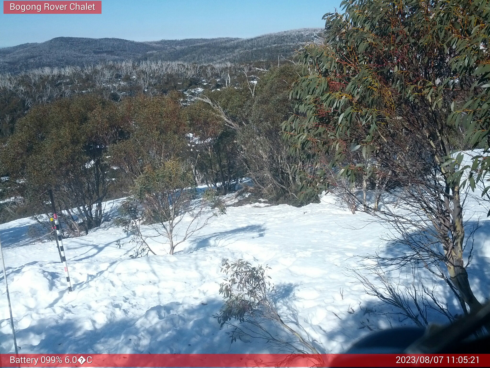 Bogong Web Cam 11:05am Monday 7th of August 2023