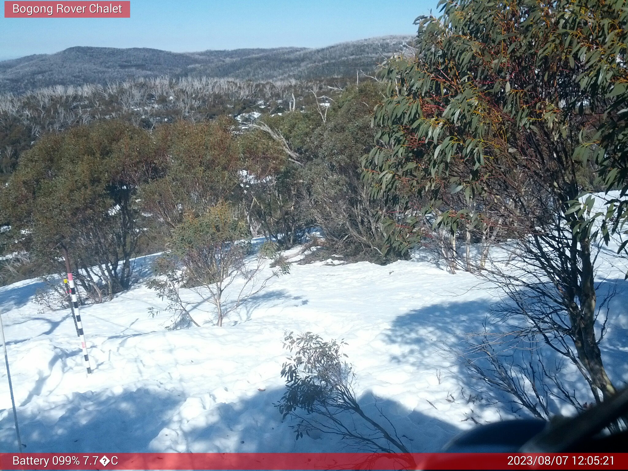 Bogong Web Cam 12:05pm Monday 7th of August 2023