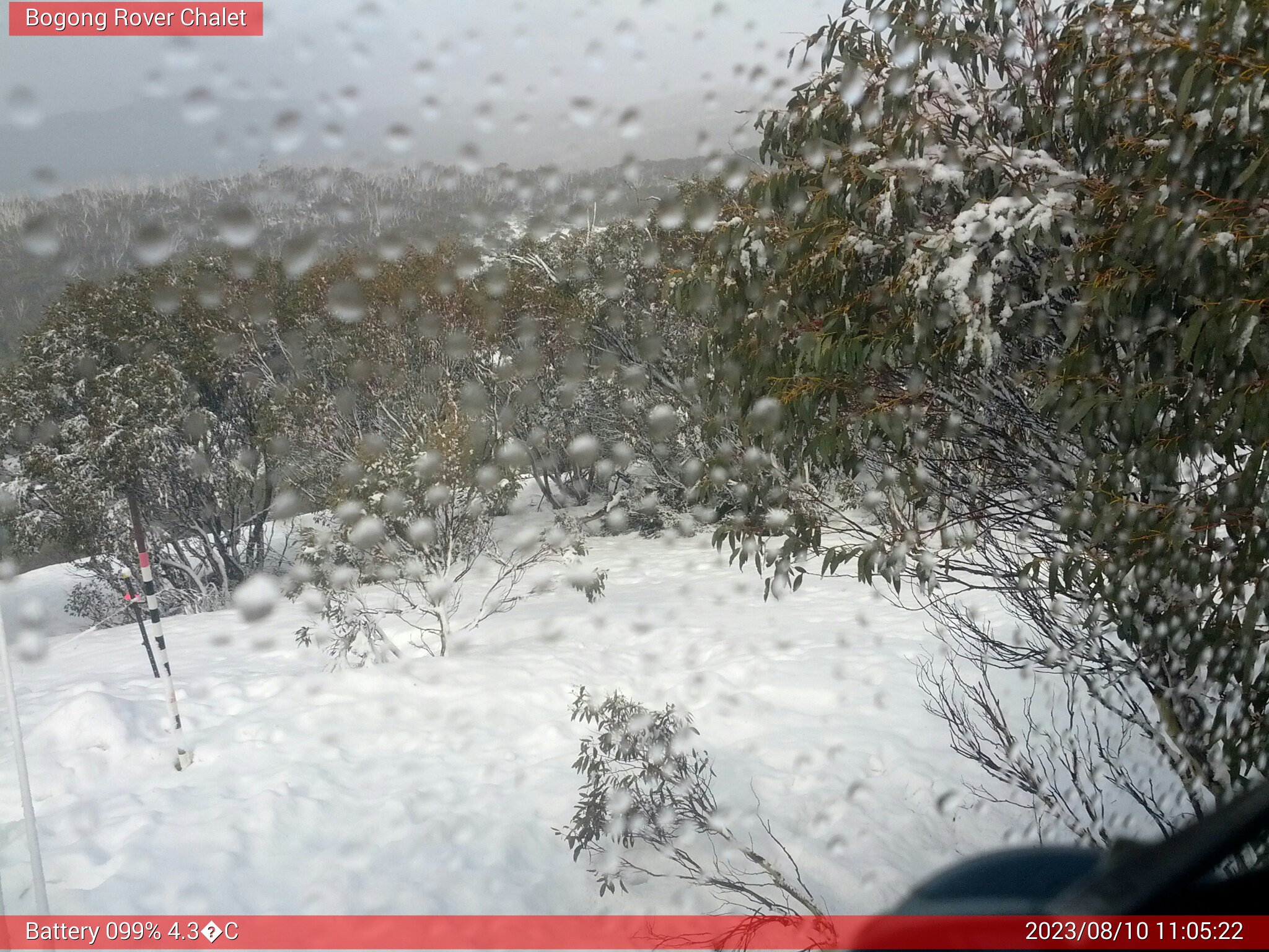 Bogong Web Cam 11:05am Thursday 10th of August 2023