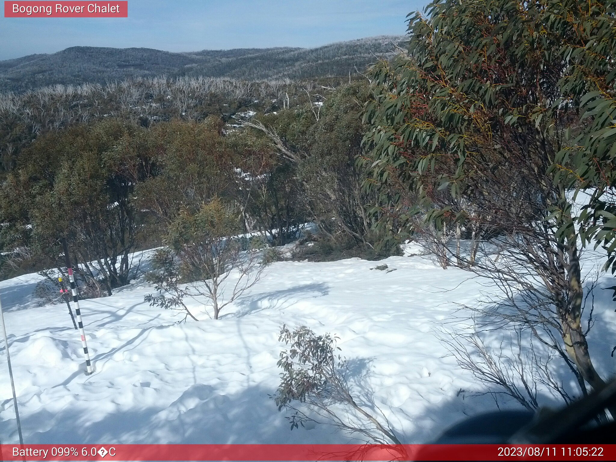 Bogong Web Cam 11:05am Friday 11th of August 2023