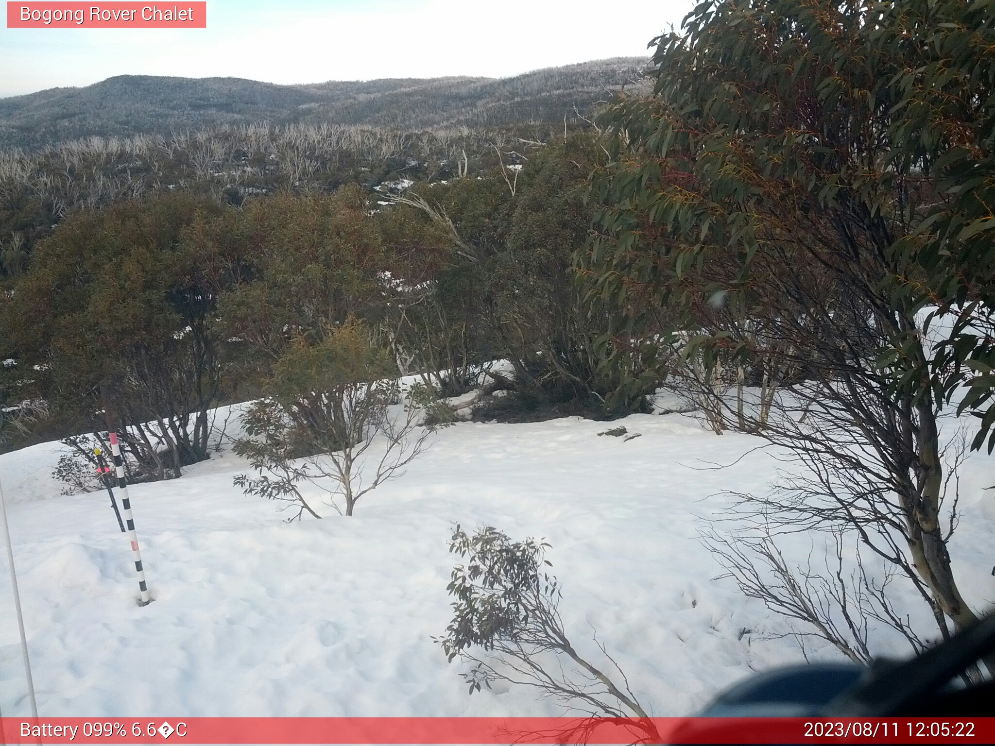 Bogong Web Cam 12:05pm Friday 11th of August 2023