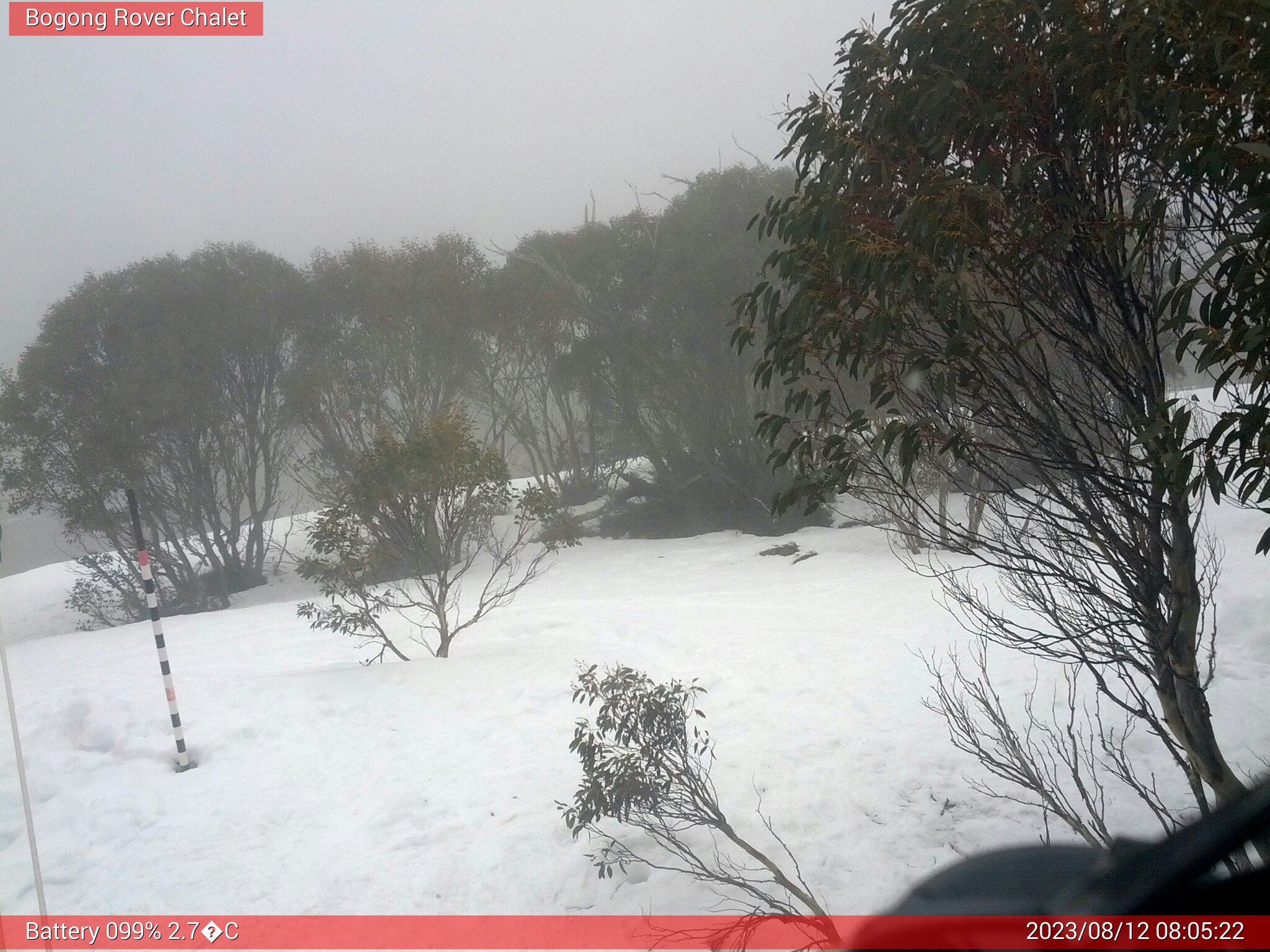 Bogong Web Cam 8:05am Saturday 12th of August 2023