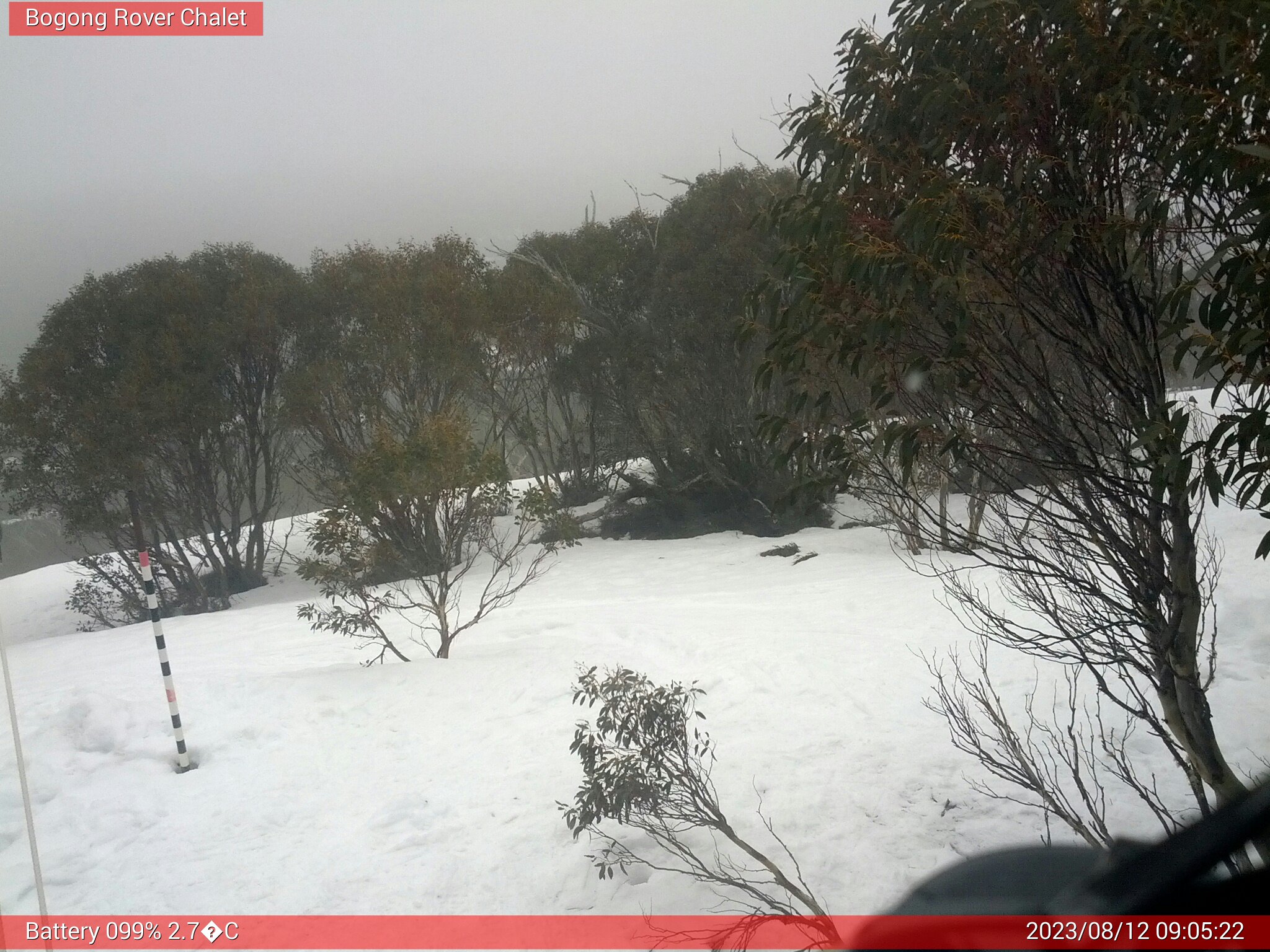 Bogong Web Cam 9:05am Saturday 12th of August 2023